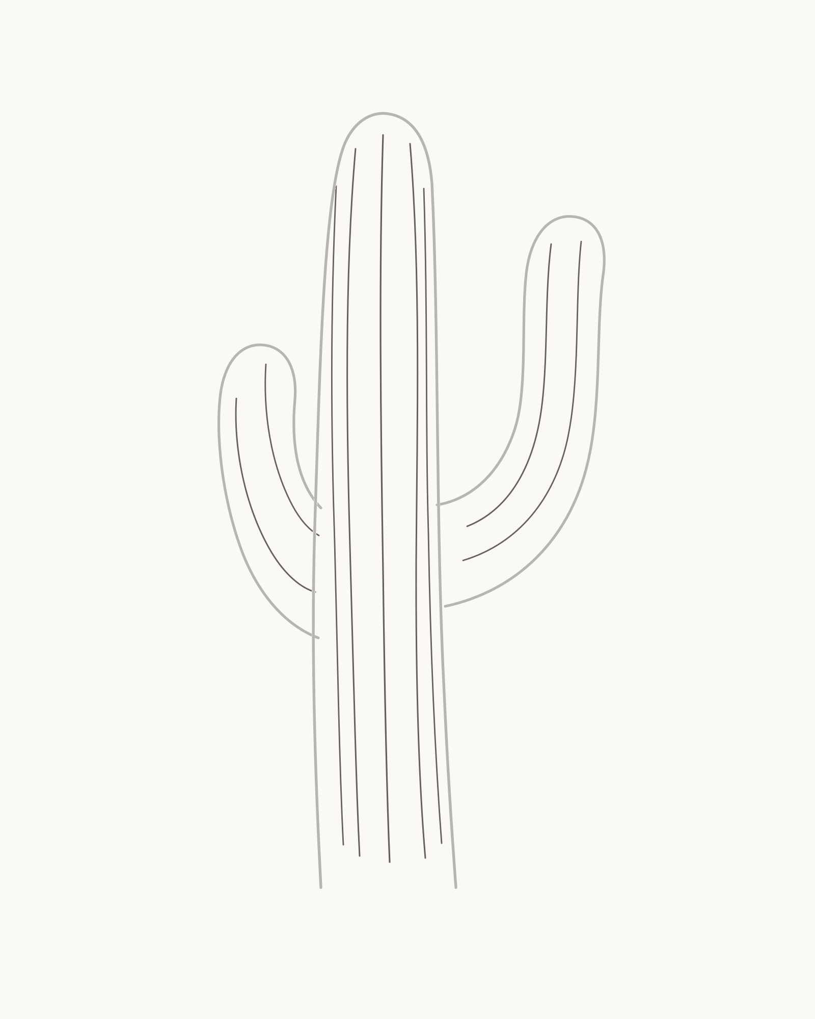 Stage 4 cactus drawing adding five trunk ribs and two curved ribs inside each arm