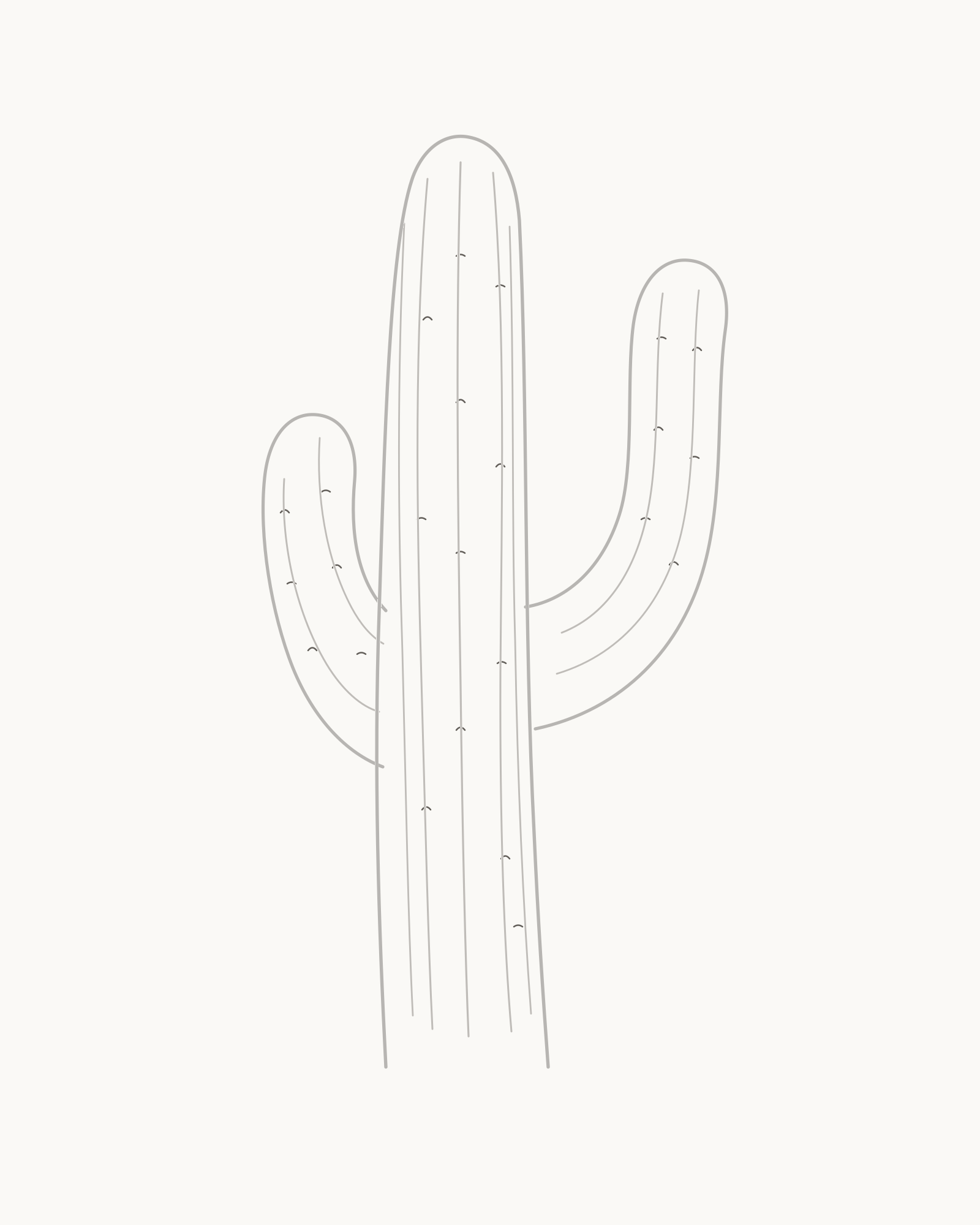 Stage 5 cactus drawing adding twenty-four small open areoles along selected rib paths