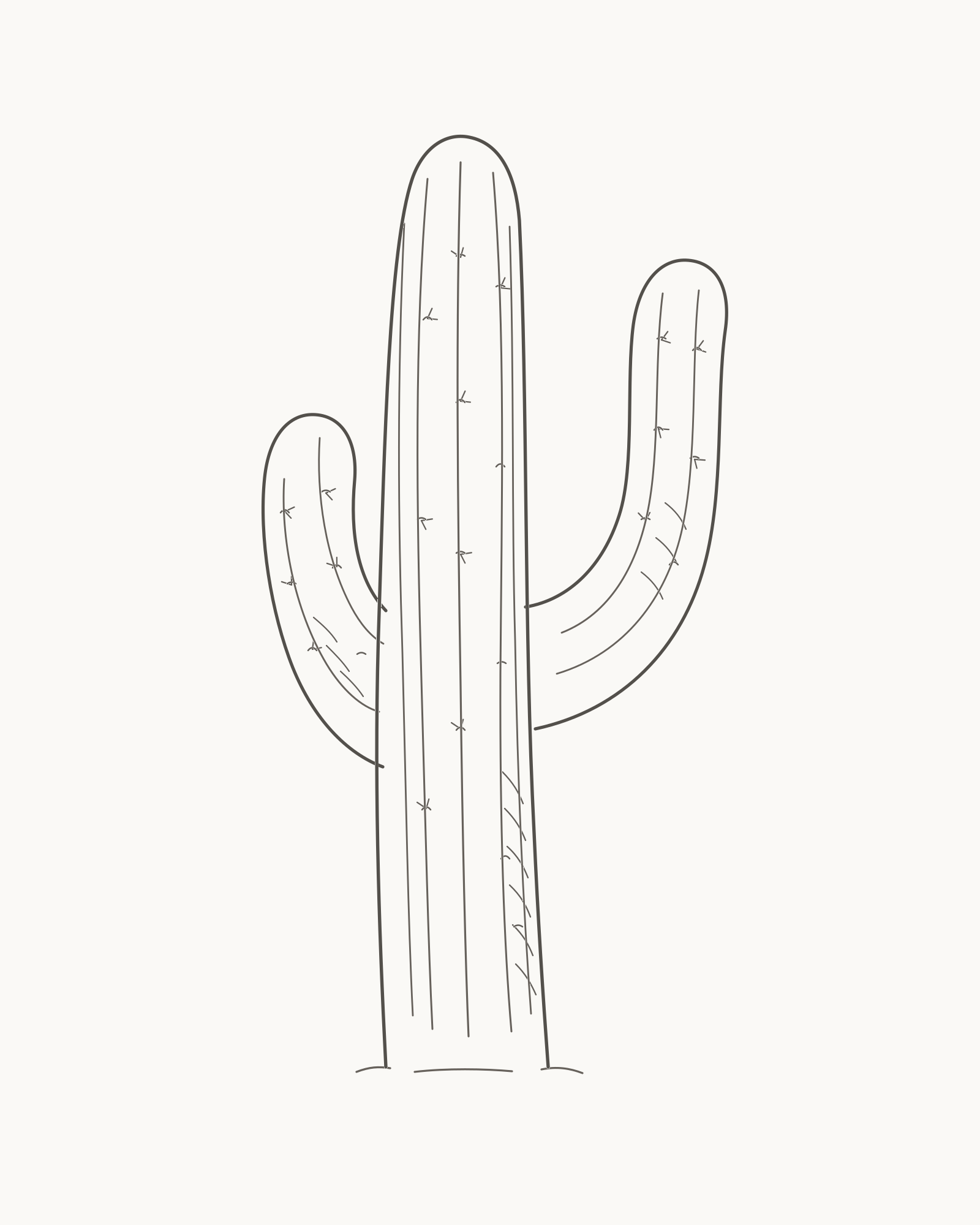 Complete pencil-line cactus with a tall central column, two unequal upturned arms, curved ribs and restrained spines