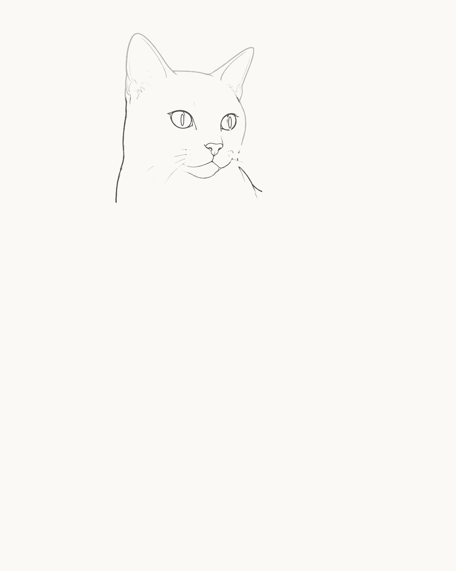 Stage 2 cat drawing adding unequal open eyes, bridge, open nose, mouth and broad muzzle closure