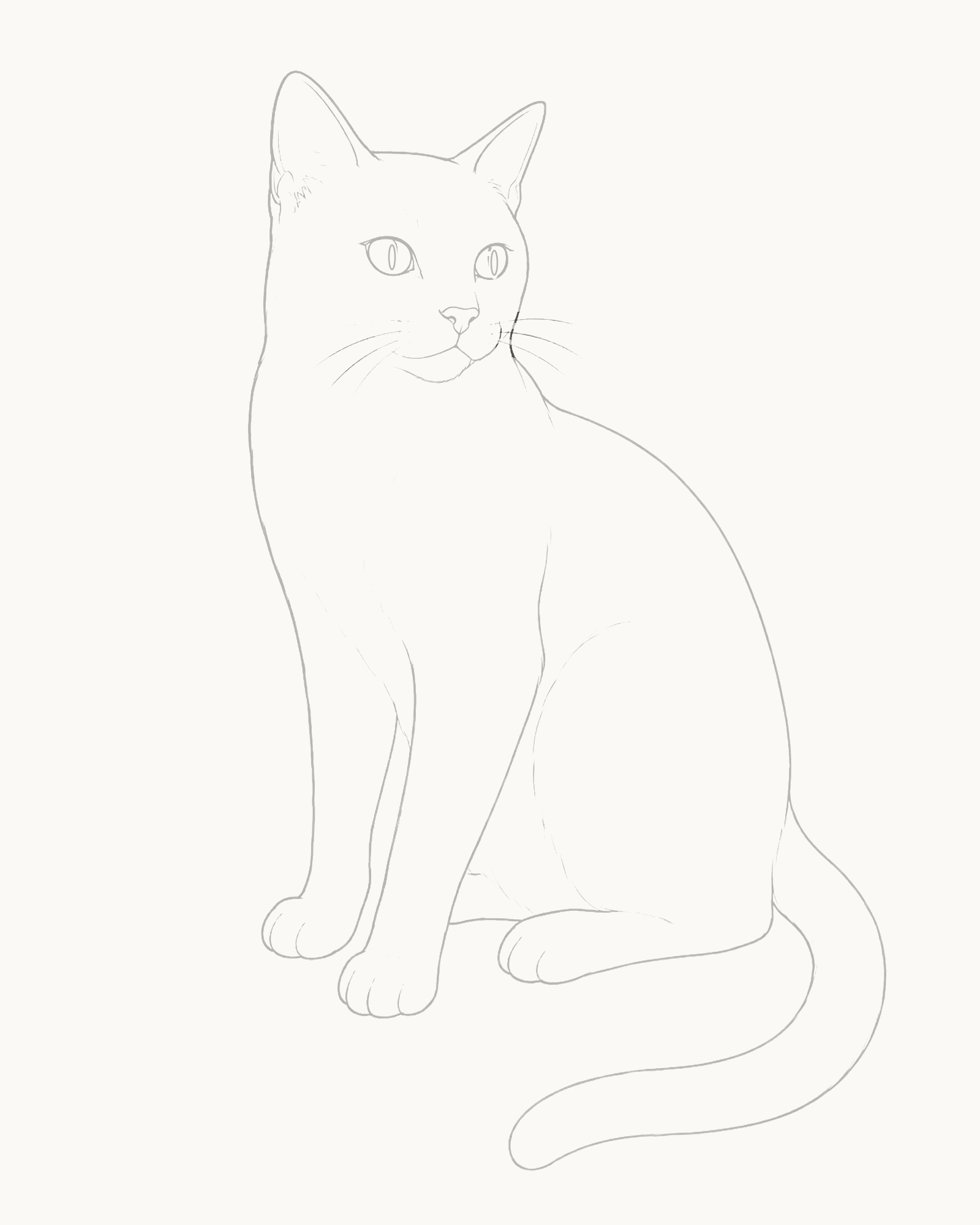 Stage 8 complete seated cat line drawing with three unequal whiskers fanning from each muzzle pad