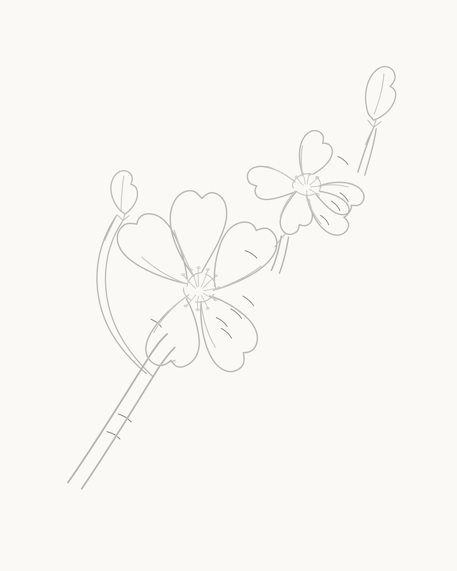 Stage 8 complete cherry blossom branch line drawing with twelve sparse lower-right hatch strokes