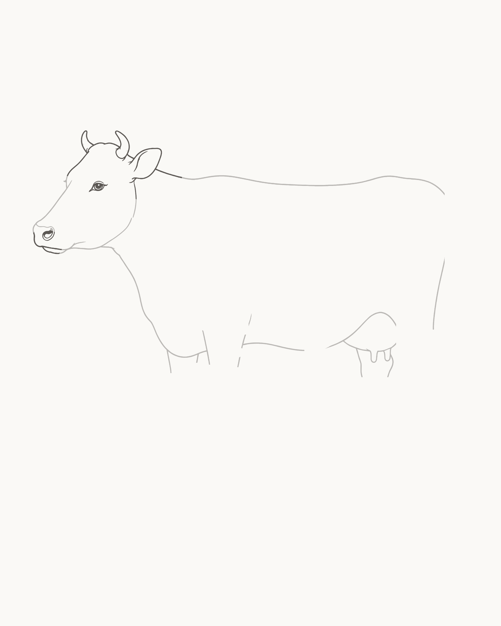 Stage 3 cow drawing adding two unequal short horns, unequal ears, a compact eye, nostril, mouth divisions and inner-ear folds