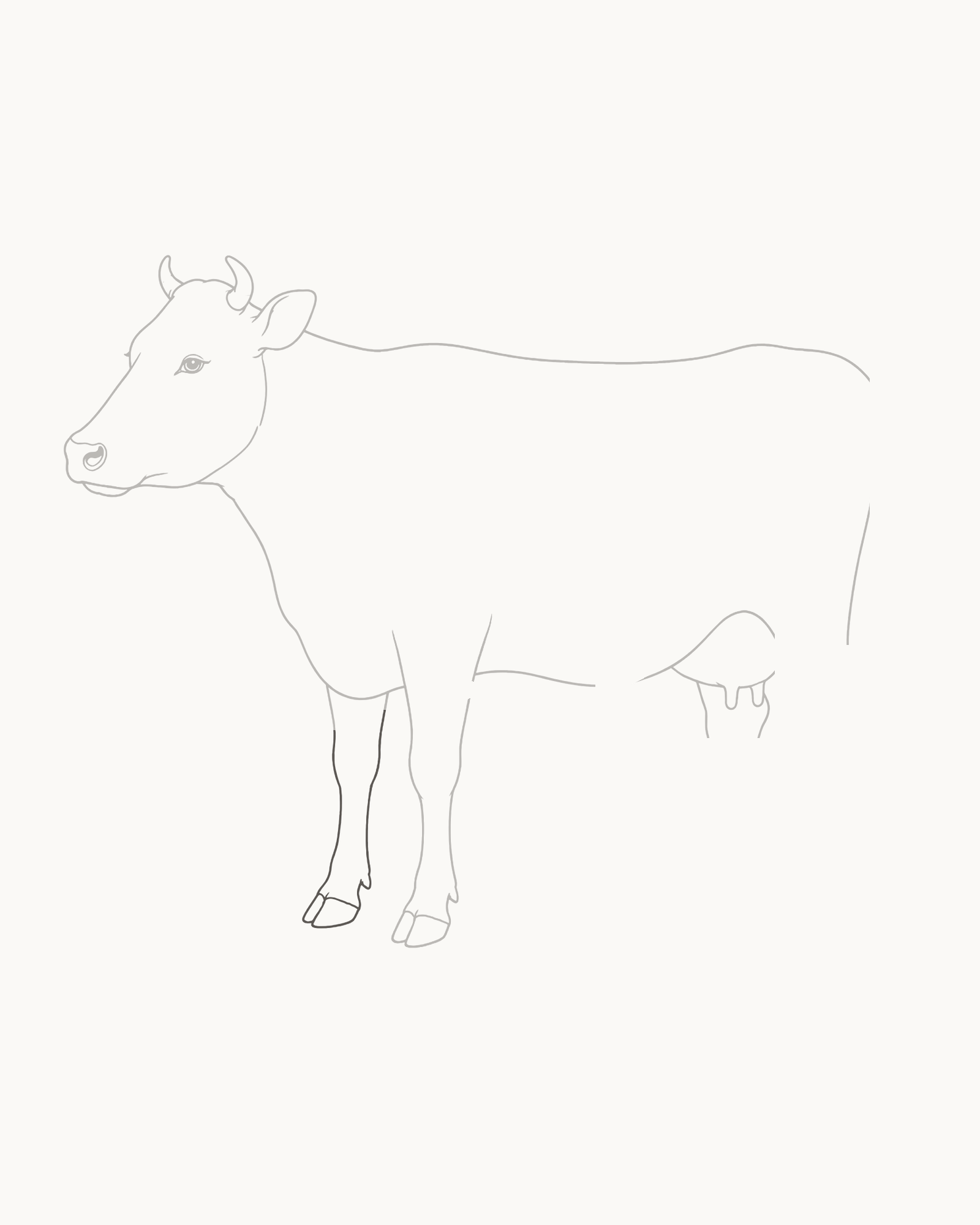 Stage 5 cow drawing adding a narrower partly hidden far foreleg offset slightly left, with a smaller higher cloven hoof