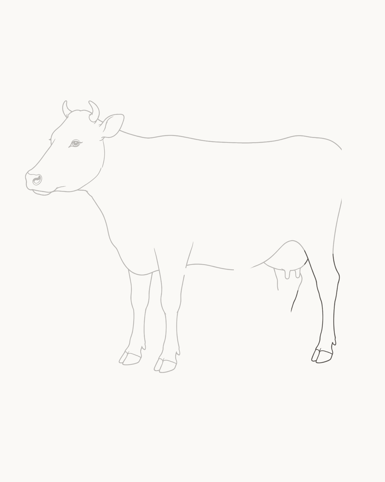 Stage 6 cow drawing adding the broad near thigh, gentle hock, lower leg and grounded cloven hoof while keeping the udder clear