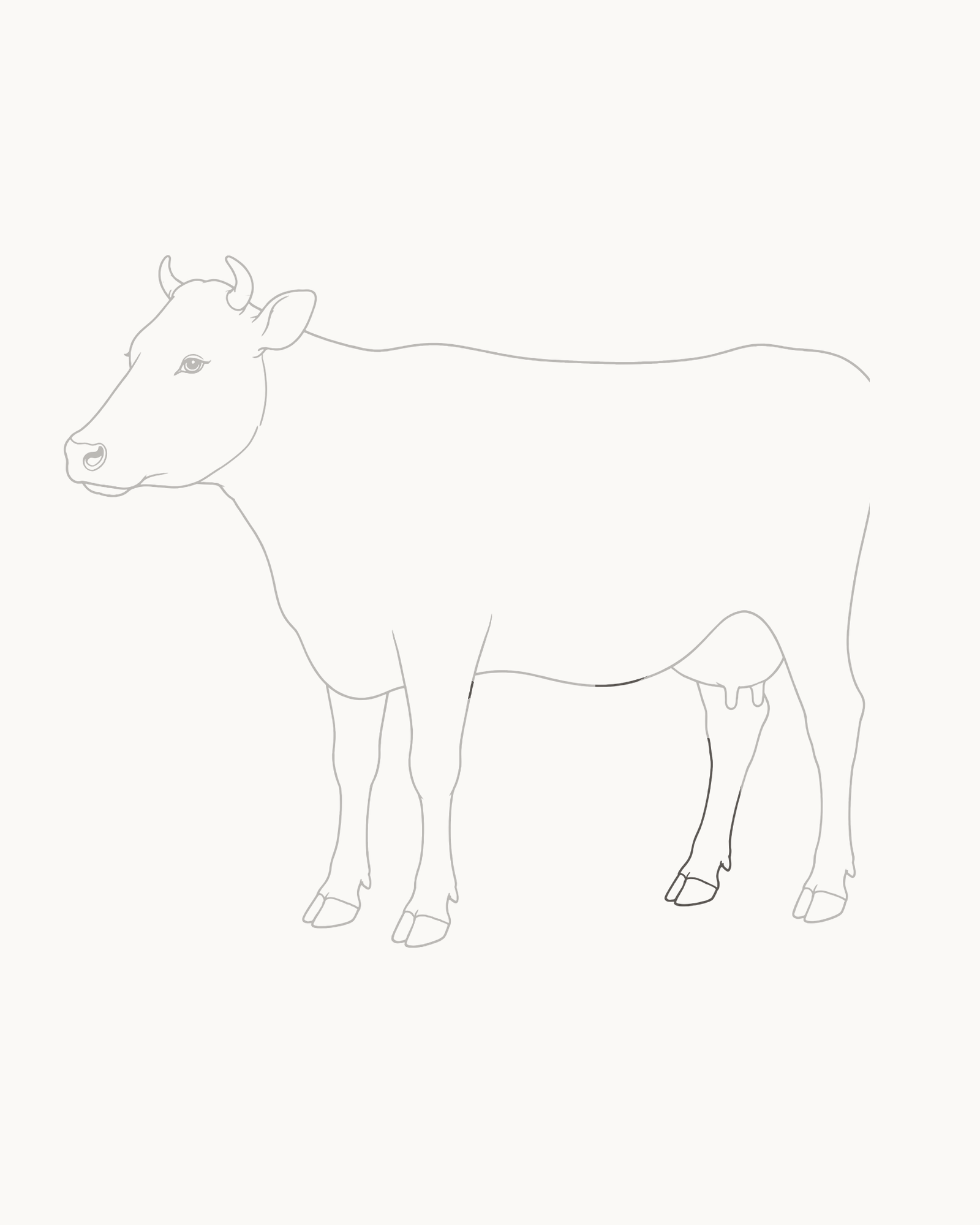 Stage 7 cow drawing adding the partly hidden far hind leg, smaller cloven hoof and exactly two short belly closures around the udder