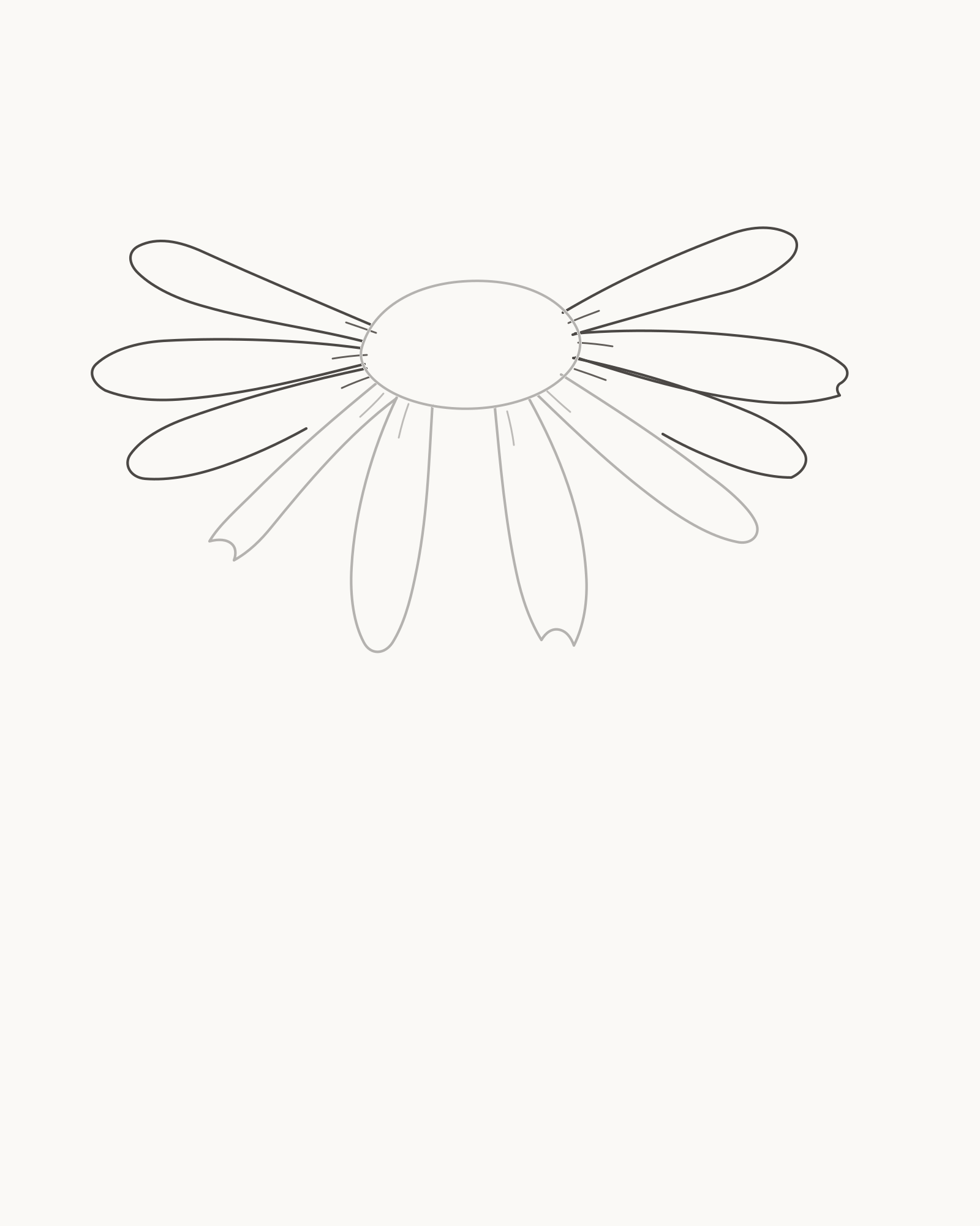 Stage 3 daisy drawing adding three unequal rays on each side with intentional overlap endings