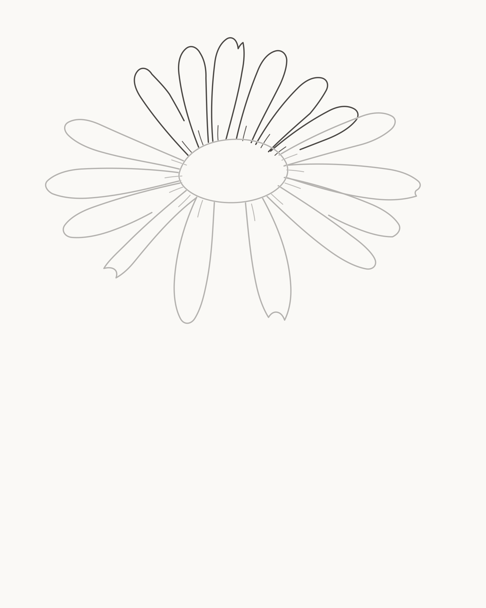 Stage 4 daisy drawing adding six shorter upper rays to complete a sixteen-ray tilted bloom