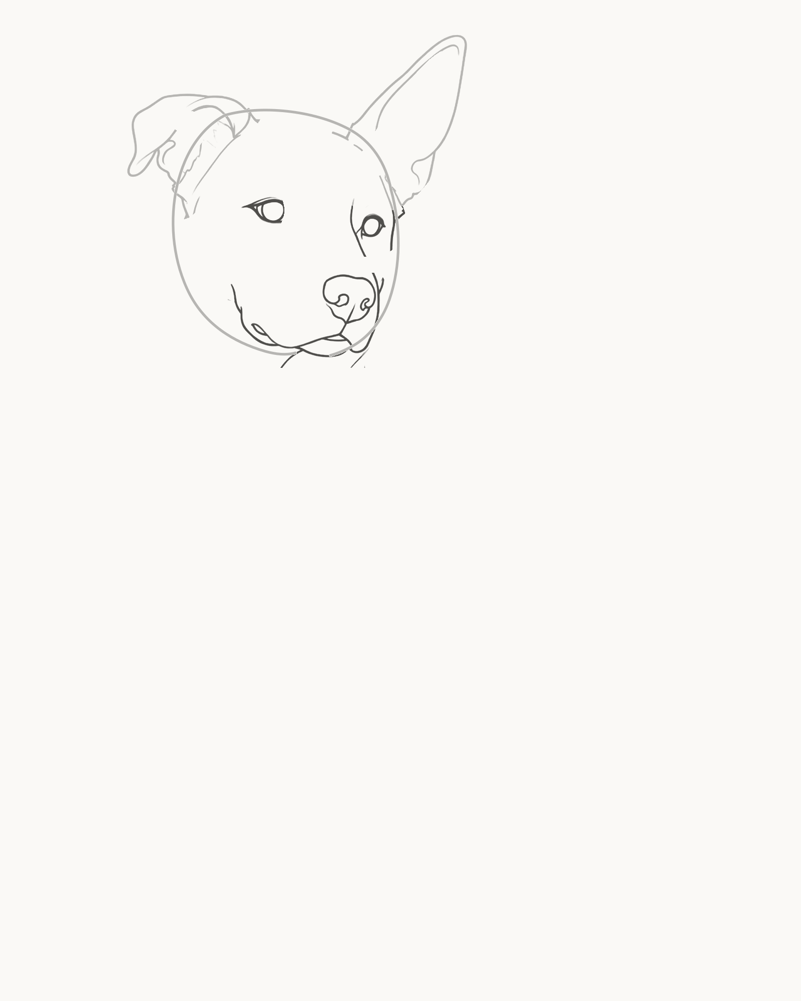 Stage 3 dog drawing adding unequal eyes, bridge, open nose, muzzle and mouth inside the head