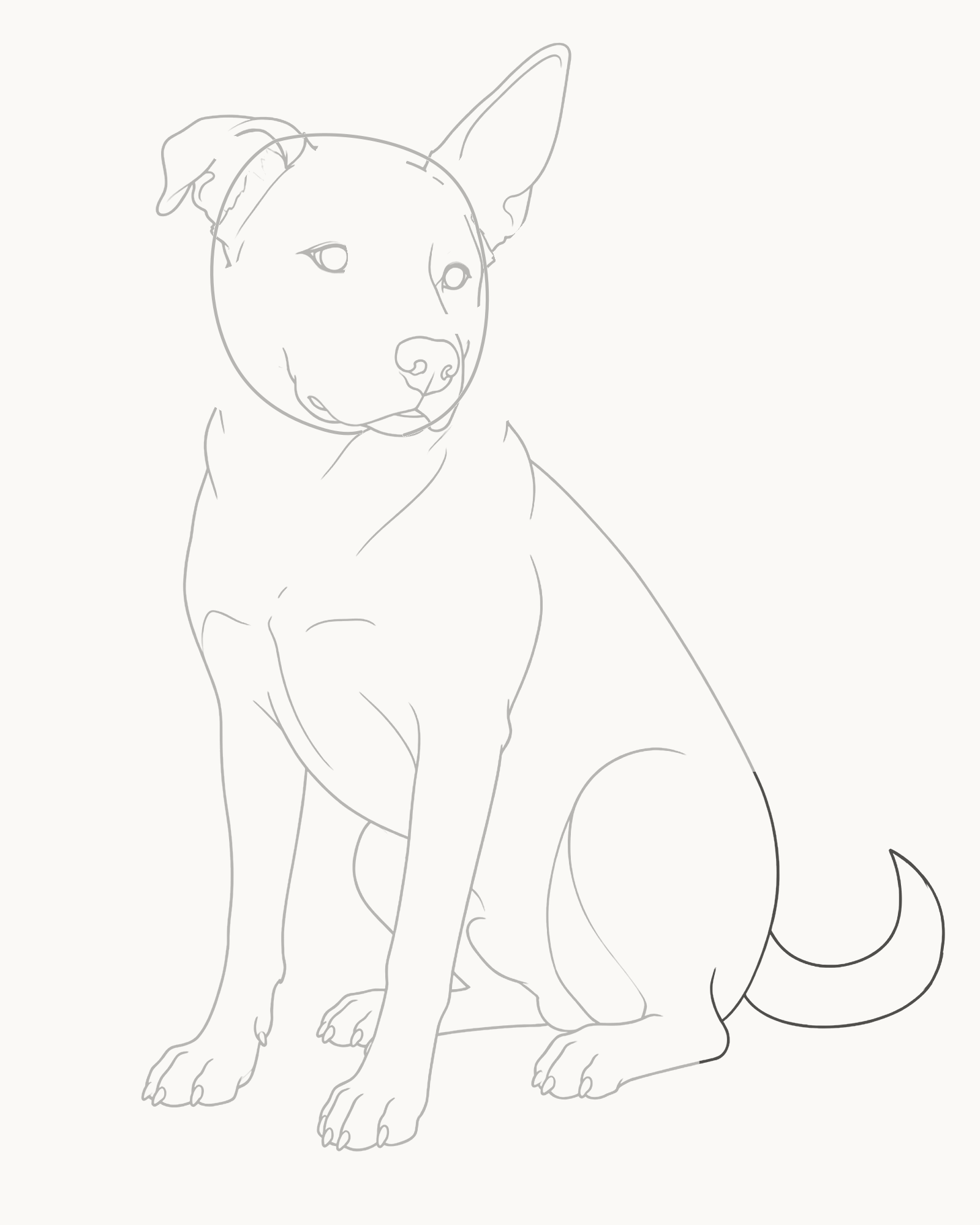Stage 8 dog drawing adding a low tapered tail that begins behind the rump and turns upward