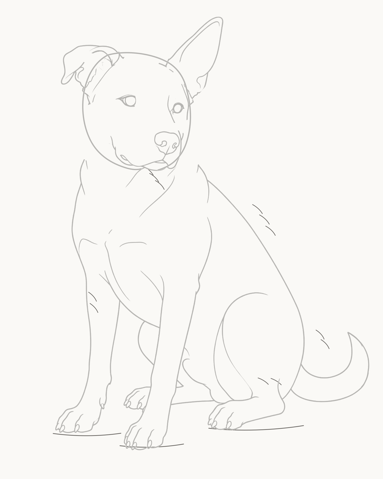Stage 9 complete seated dog line drawing with twelve sparse hatches and three ground contacts