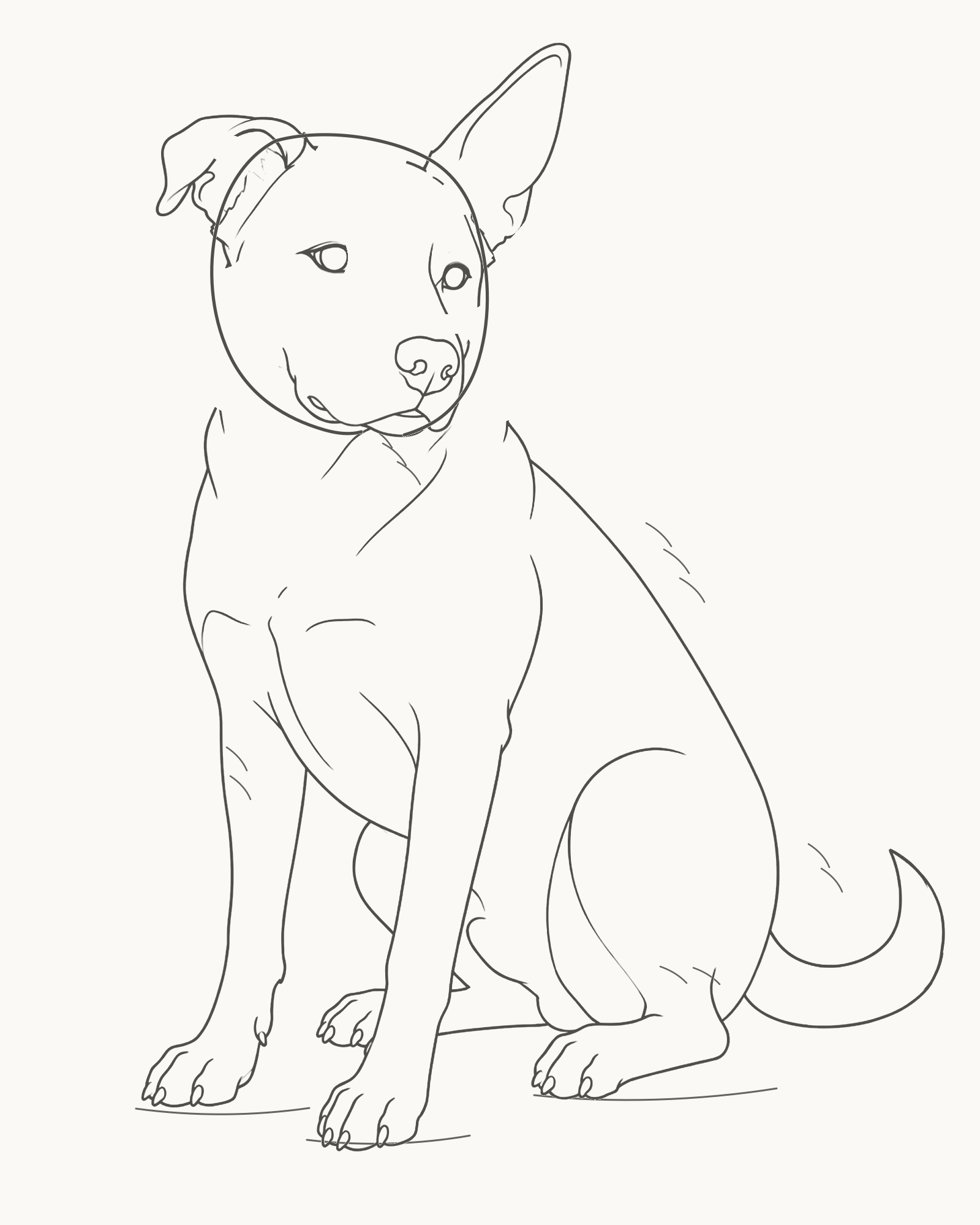 Complete line drawing of a calm seated mixed-breed dog with unequal ears, grounded paws and a low tapered tail