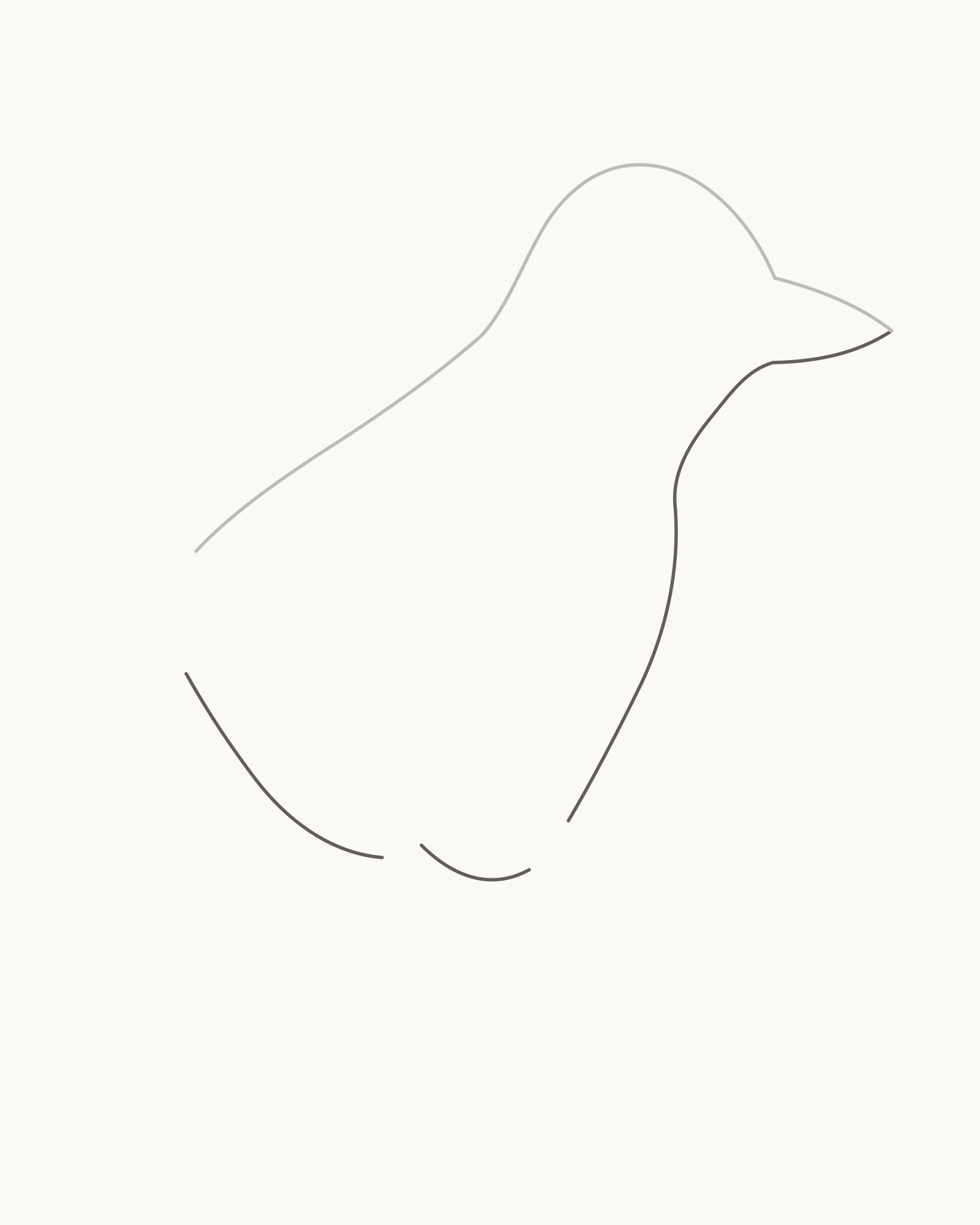 Stage 2 duck drawing adding three lower contour intervals from the bill through the throat, chest, belly and underside while preserving two leg gaps and the tail opening