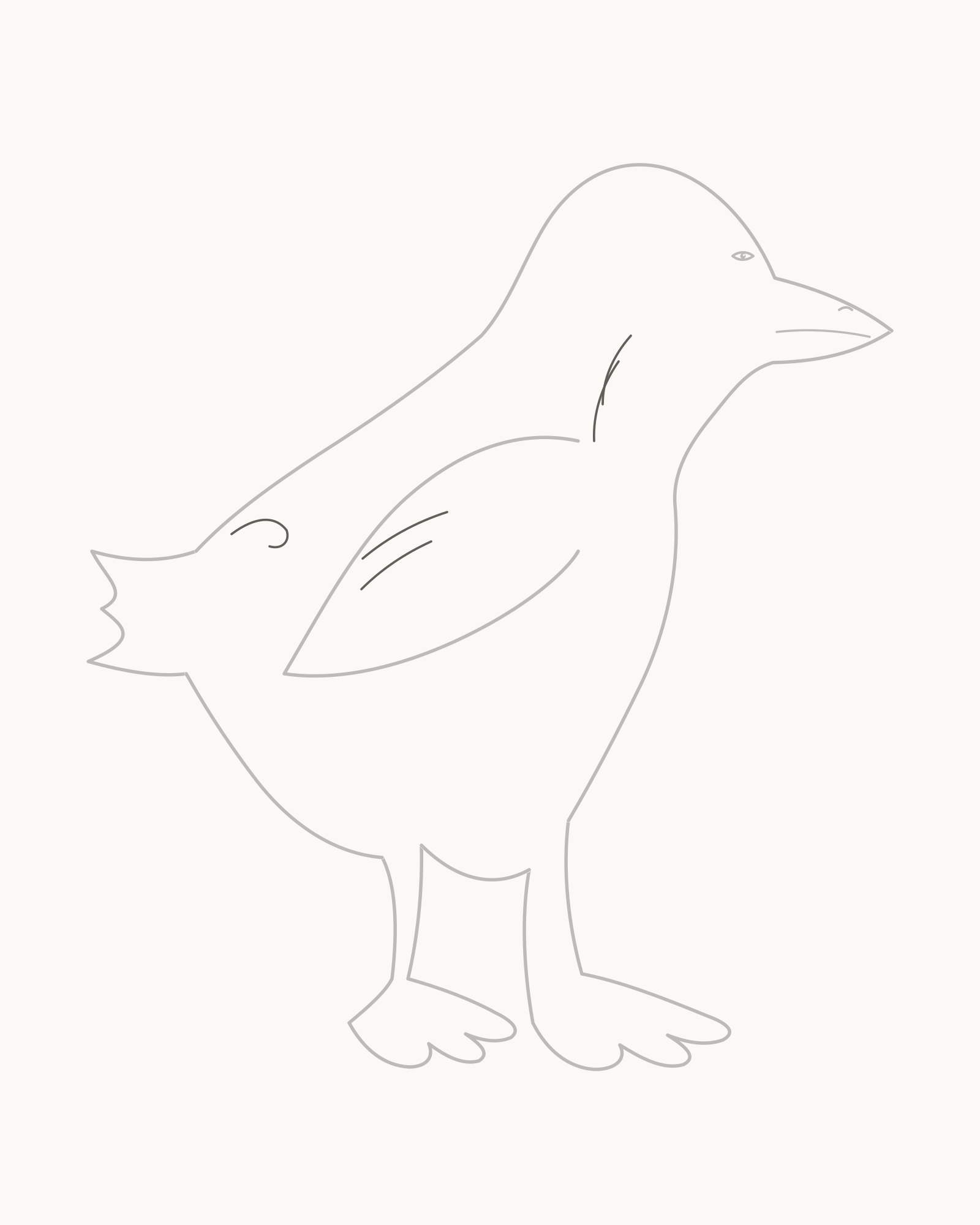 Stage 8 complete adult male mallard line drawing adding exactly two open neck arcs, two unequal wing bars and one restrained tail curl without shading