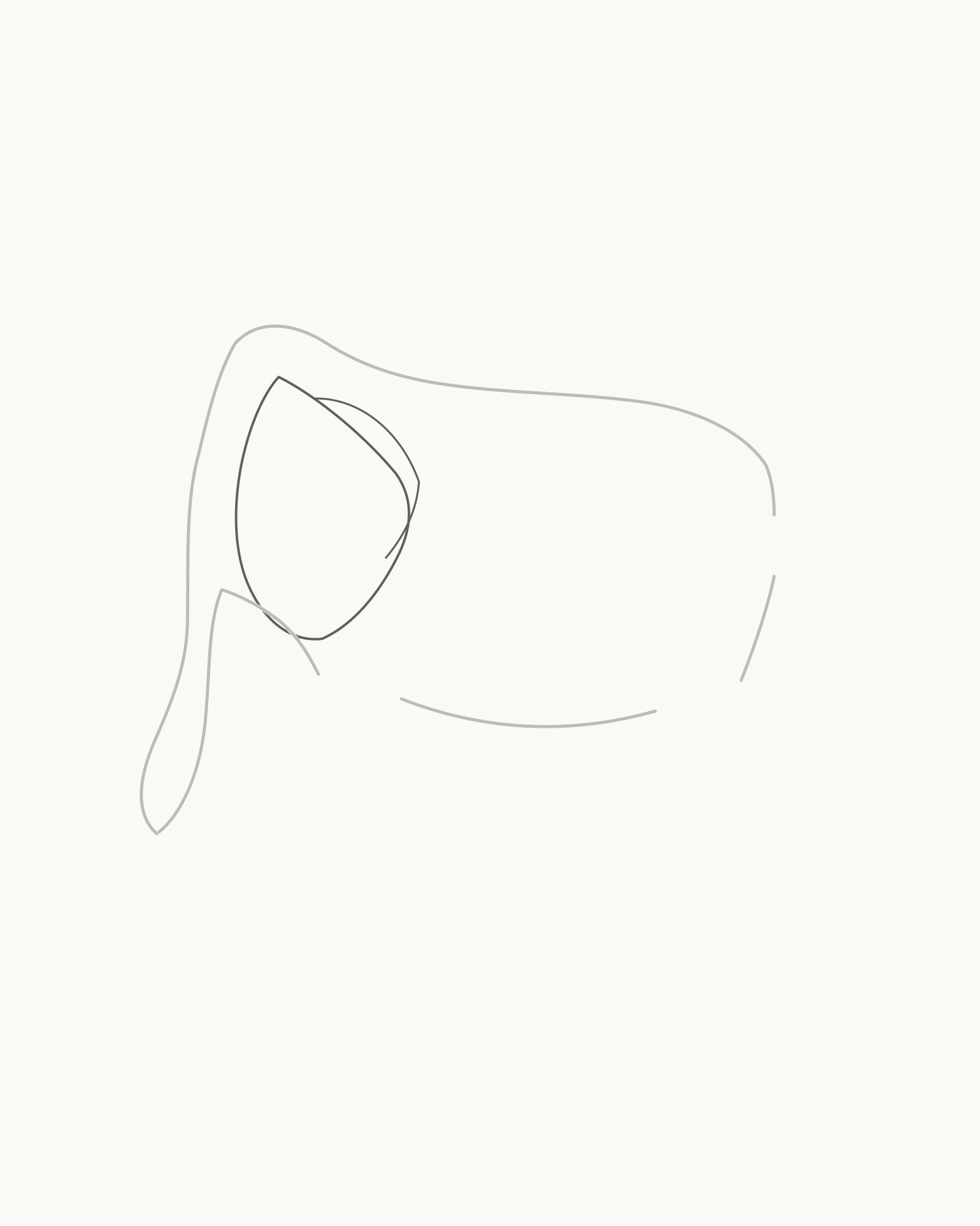Stage 3 elephant drawing adding a broad irregular near ear attached to the head and shoulder plus a smaller partial far-ear rim