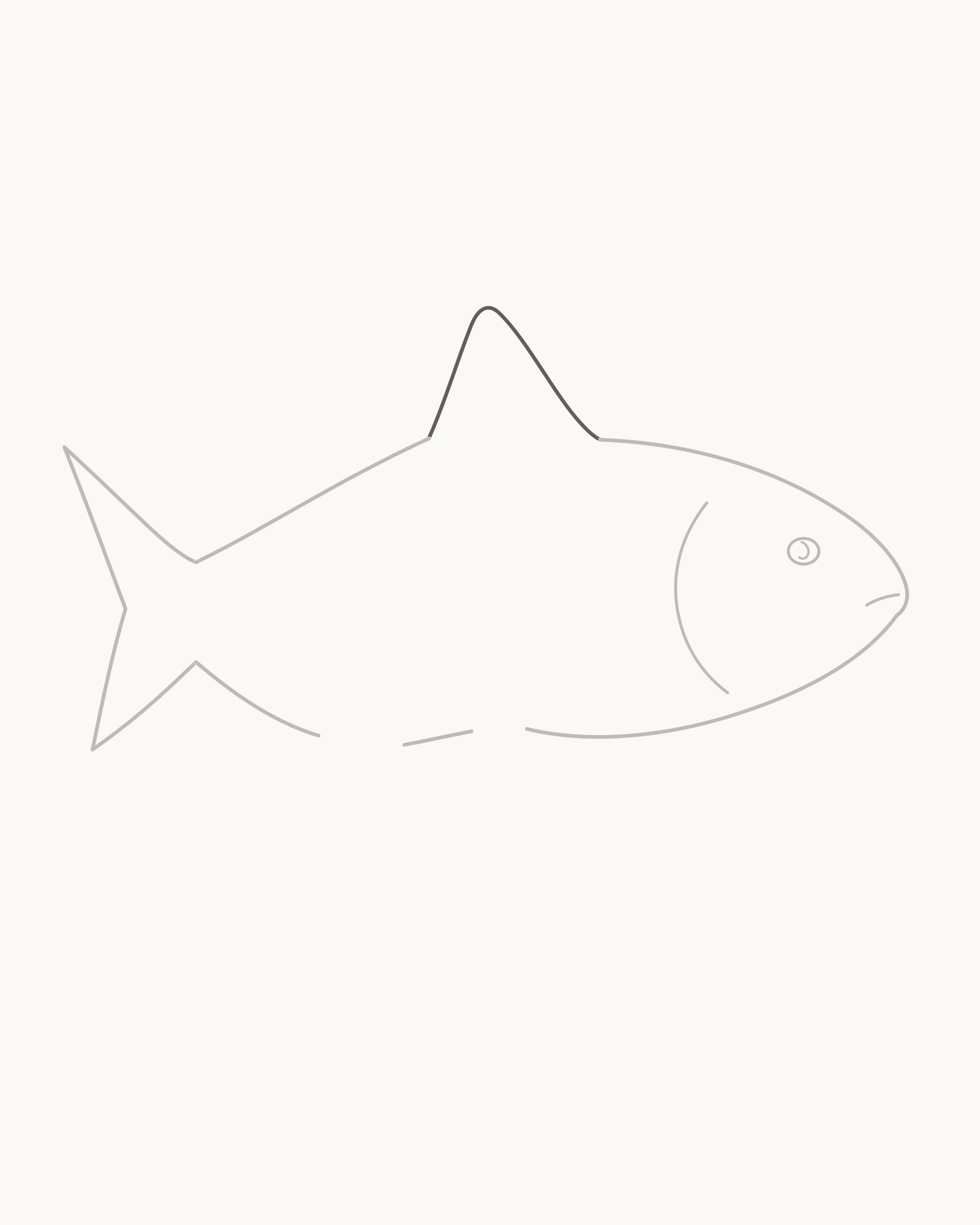 Stage 4 fish drawing adding one broad-rooted asymmetric dorsal fin across the reserved opening on the back