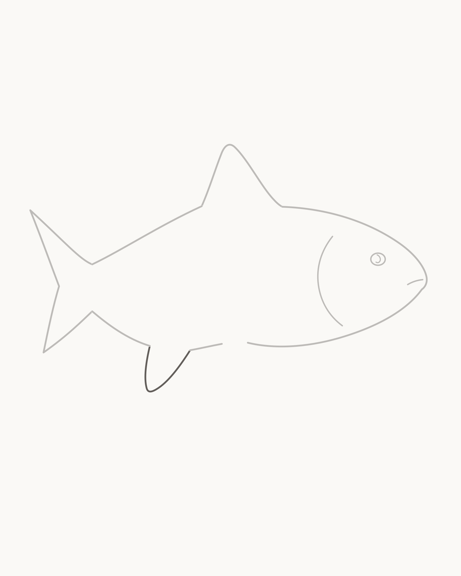 Stage 5 fish drawing adding one smaller rear-leaning anal fin across the lower rear opening