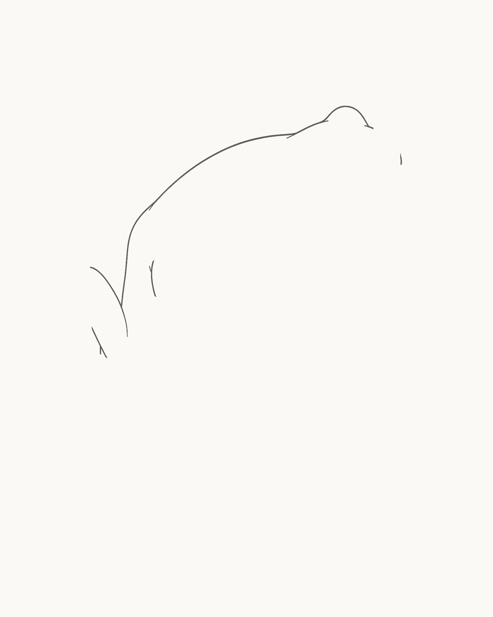 Stage 1 frog drawing showing the permanent right-facing upper head, integrated eye mound, long back and separate rear limb openings