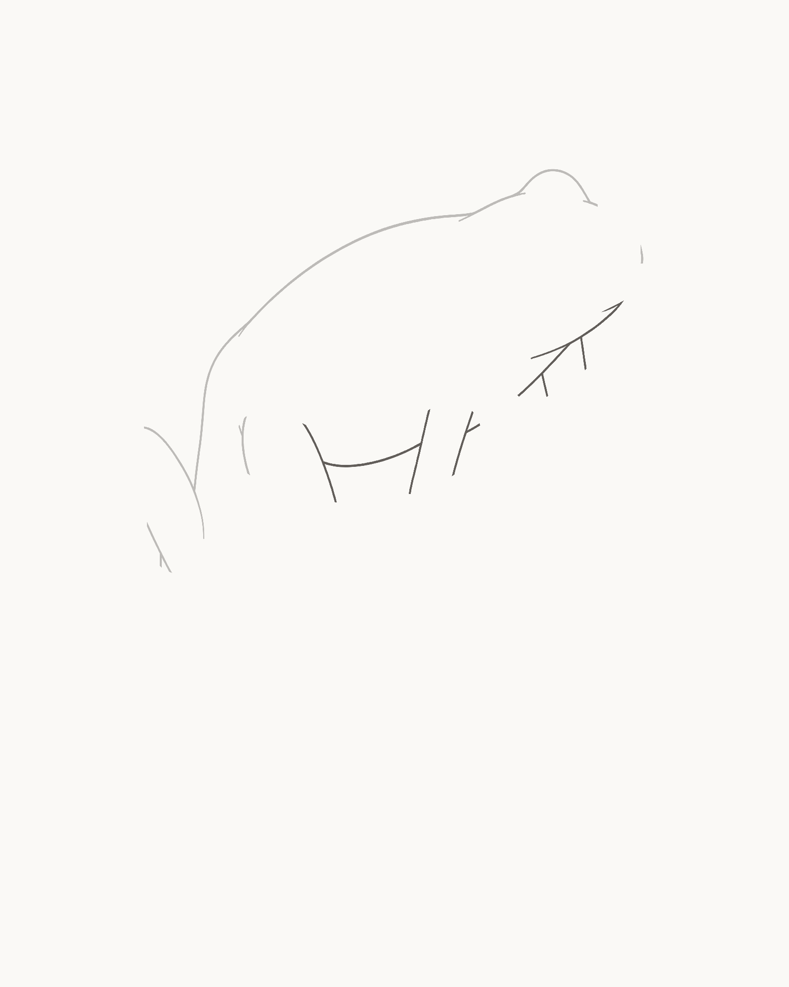 Stage 2 frog drawing adding three permanent lower contours from the snout through the jaw, chest and belly while keeping three limb openings distinct