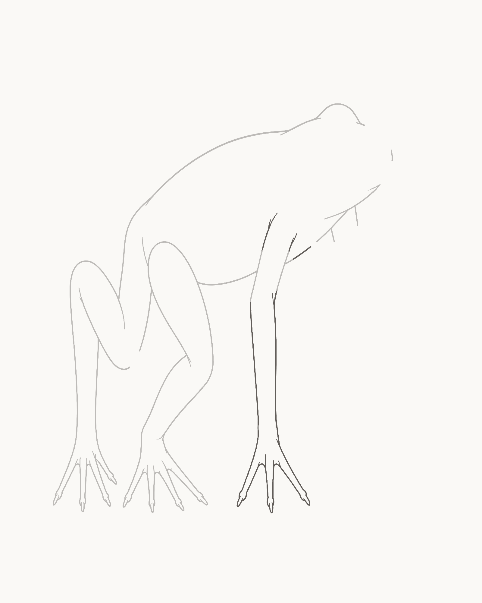 Stage 5 frog drawing adding a slim far foreleg that bridges its own chest opening and reaches a separate grounded foot with three visible tips