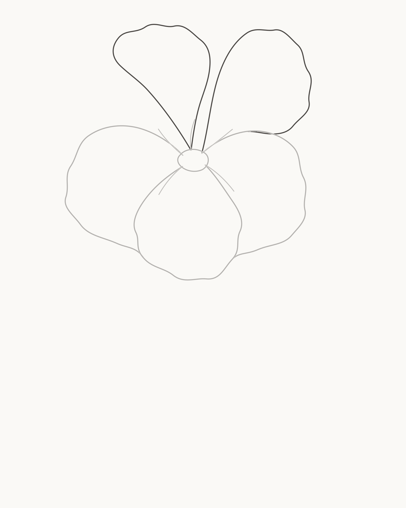 Stage 4 hibiscus drawing adding a shorter rear-left and taller rear-right petal to complete five petals