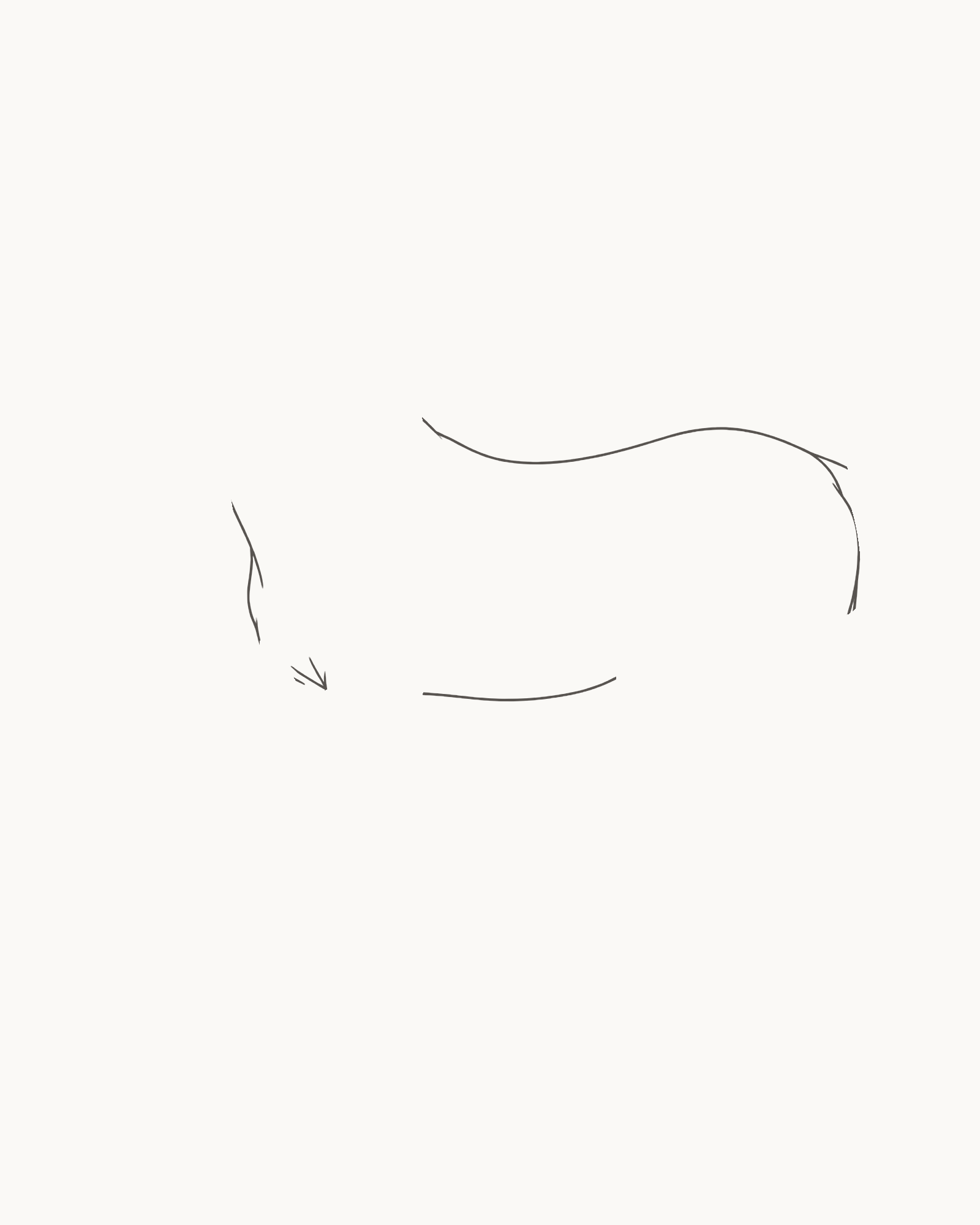 Stage 1 horse drawing showing the permanent long torso, rounded rump, chest return, separated underside intervals and deliberate leg openings