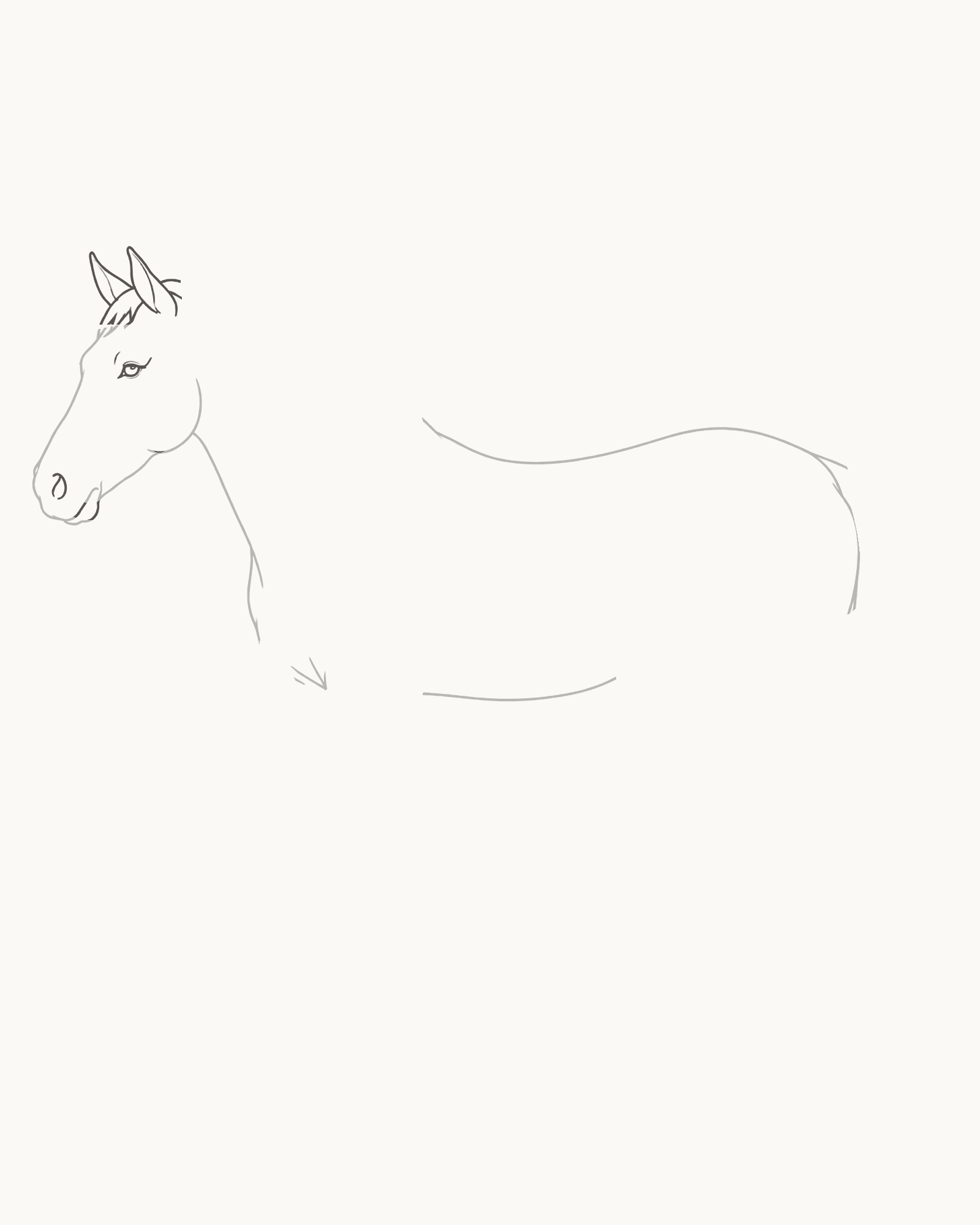 Stage 3 horse drawing adding two unequal attached ears, small forelock joins, an open almond eye, nostril, mouth and short cheek detail