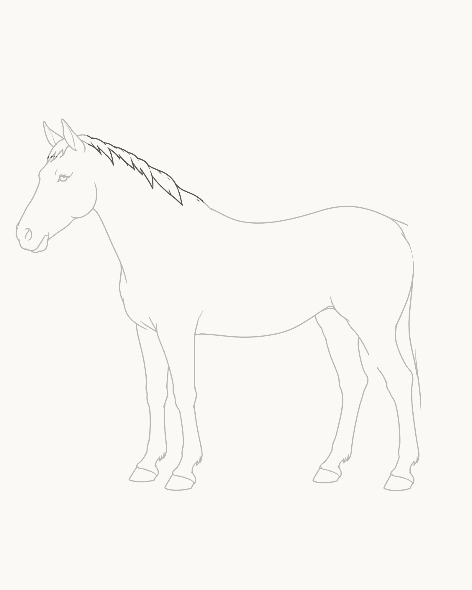 Stage 8 horse drawing adding an attached irregular mane from behind the unequal ears to the withers with tapered locks and short direction accents