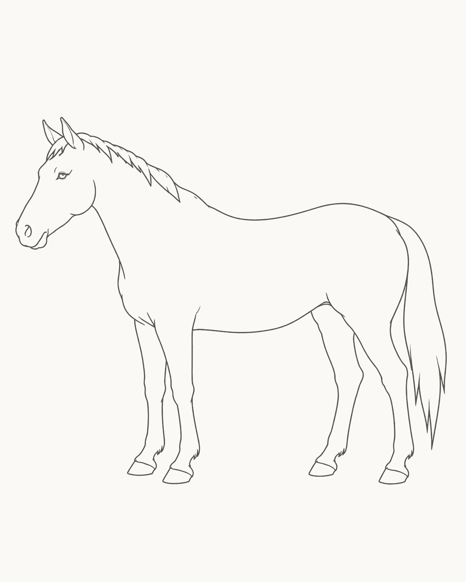 Complete line drawing of a calm adult horse standing and facing left with a long muzzle, unequal ears, four grounded hooves, short mane and flowing tail