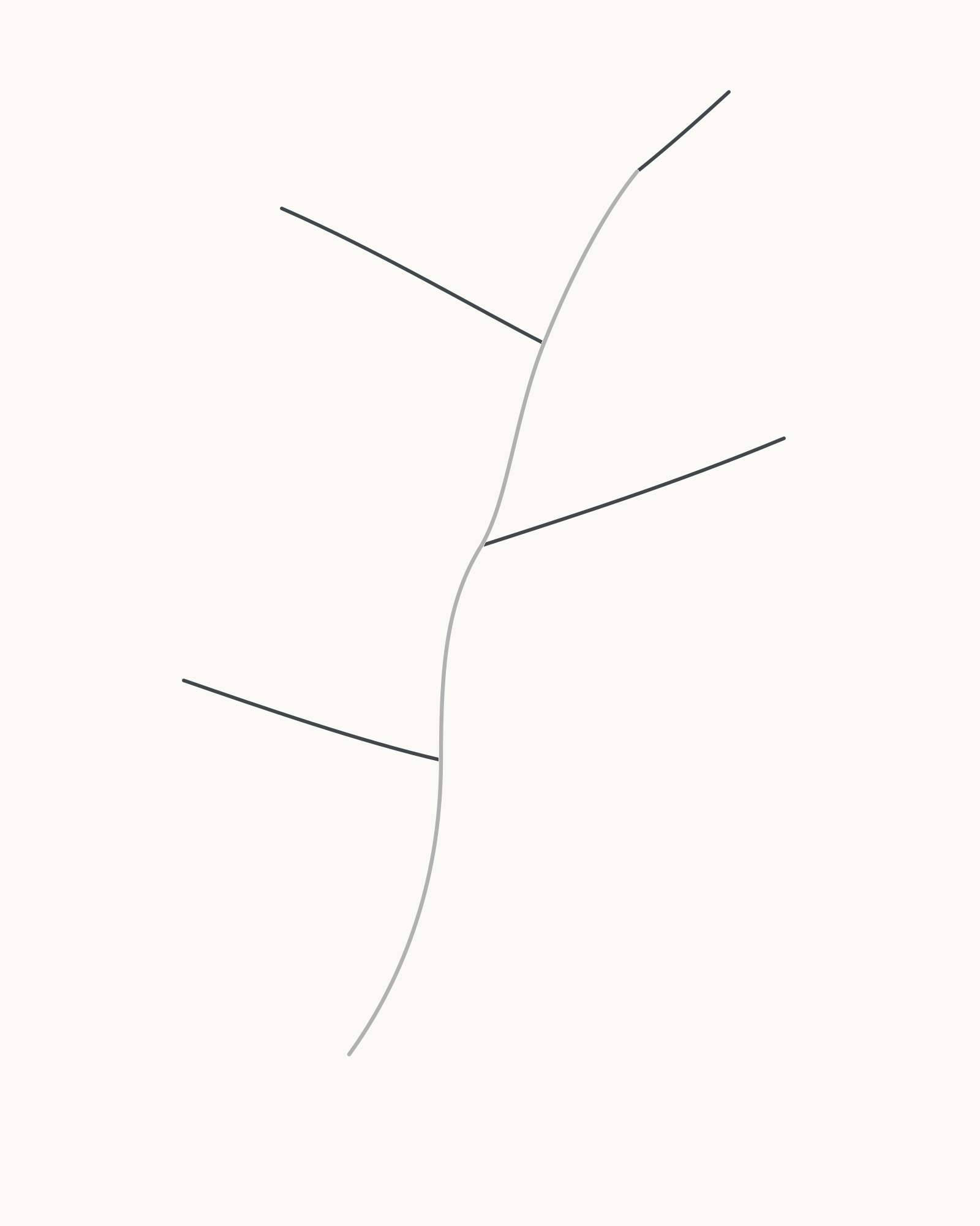 Stage 2 leaf-sprig drawing adding four unequal connected axes for a terminal leaf and three alternate side leaves