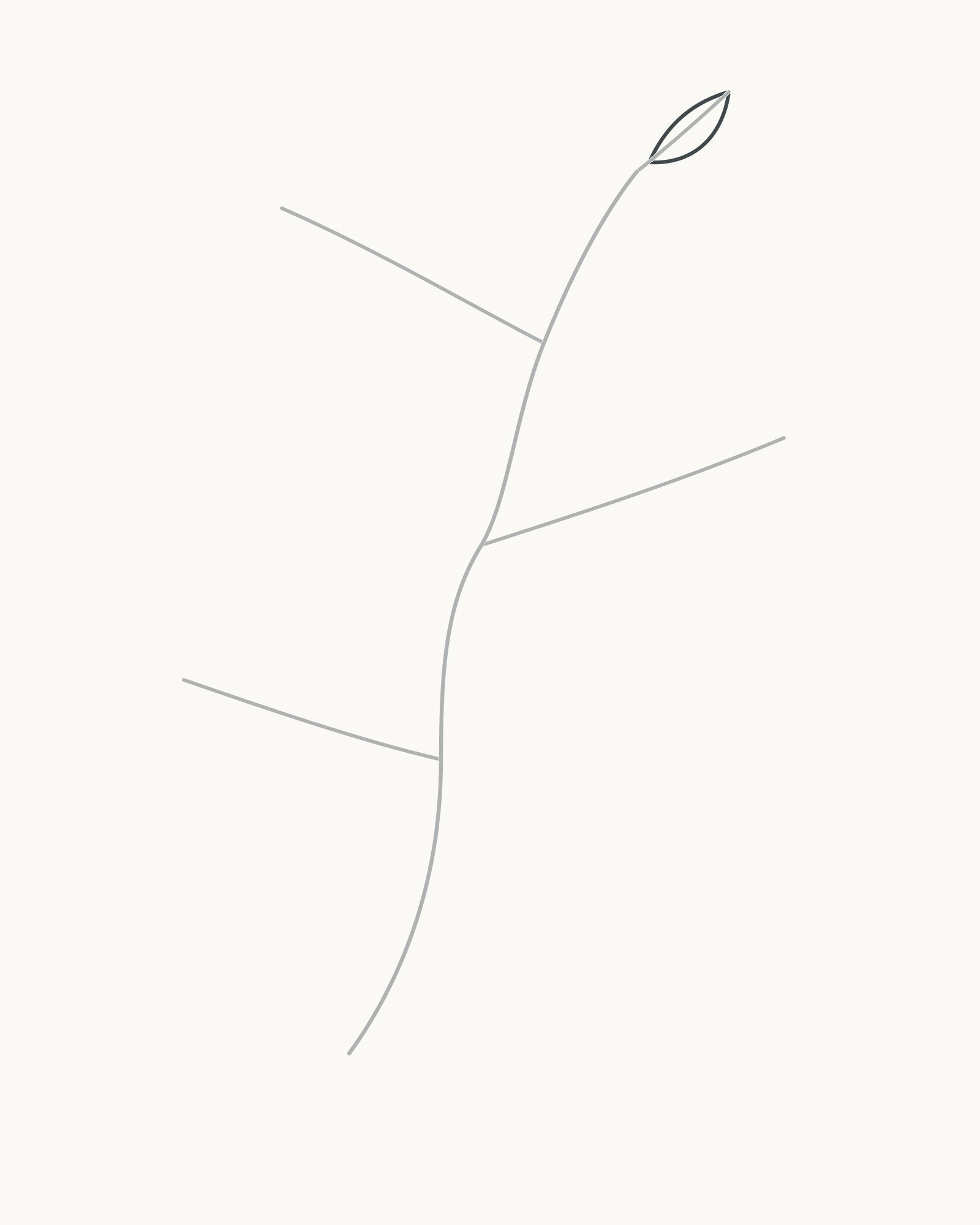 Stage 3 leaf-sprig drawing adding the smallest pointed terminal blade around its preserved axis