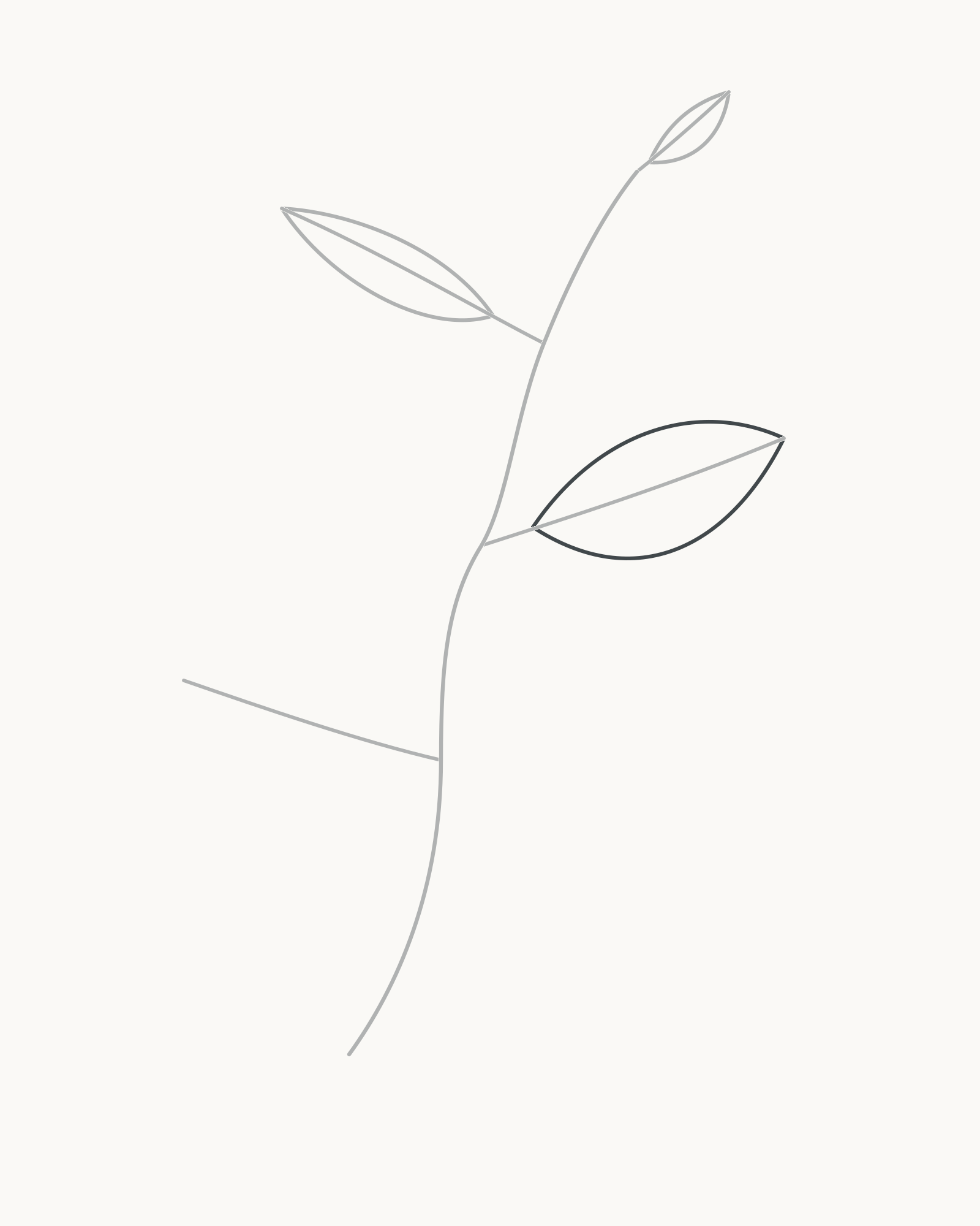 Stage 5 leaf-sprig drawing adding the broadest blade on the middle-right axis