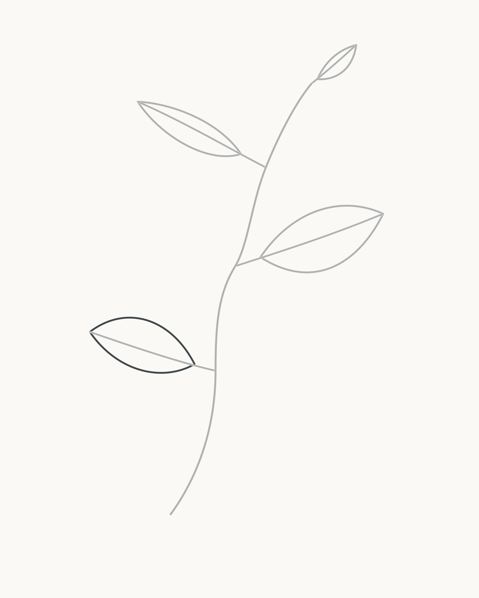 Stage 6 leaf-sprig drawing adding a shorter fuller lower-left blade around its existing axis