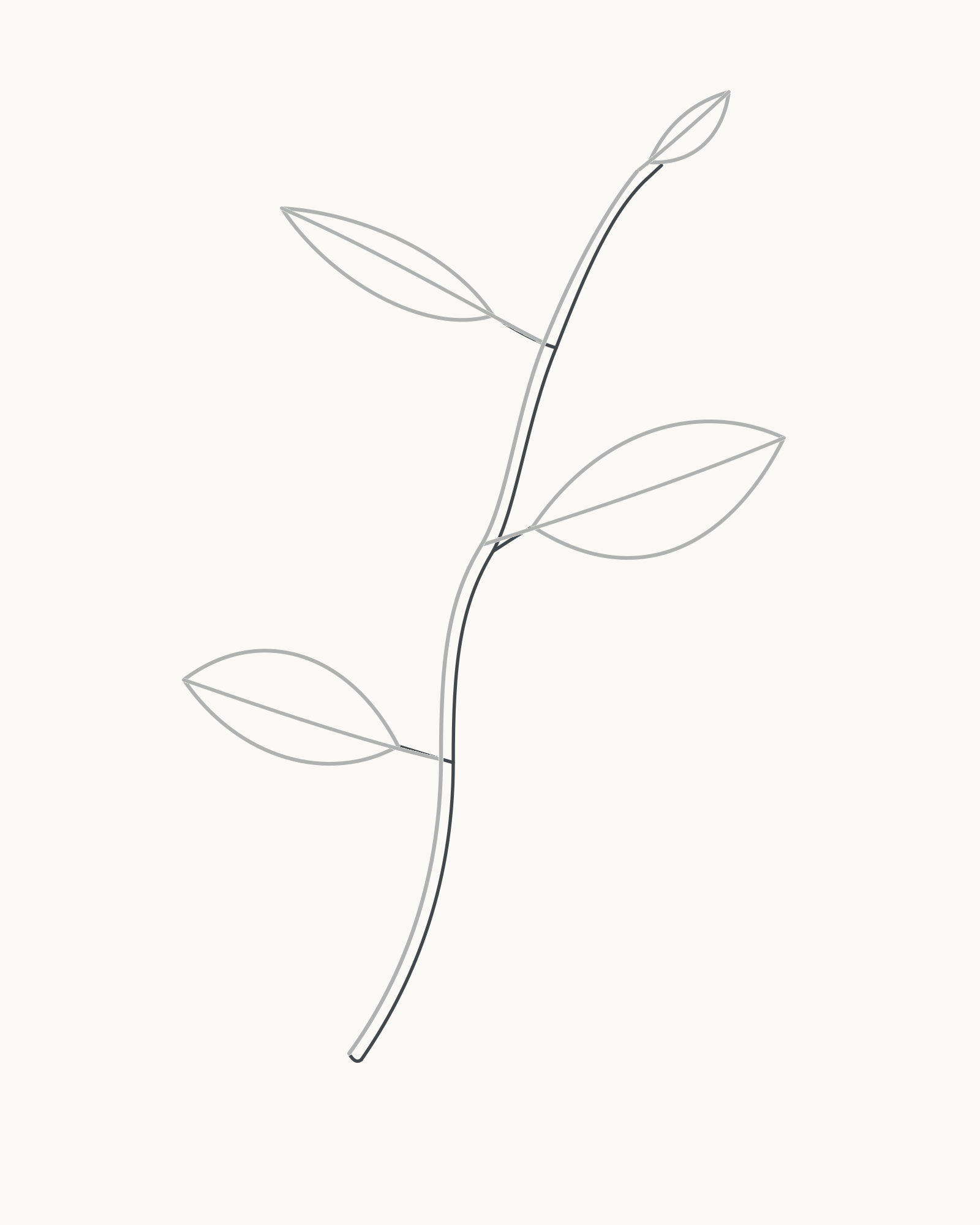 Stage 7 leaf-sprig drawing adding a tapering second twig edge and four short petiole return lines