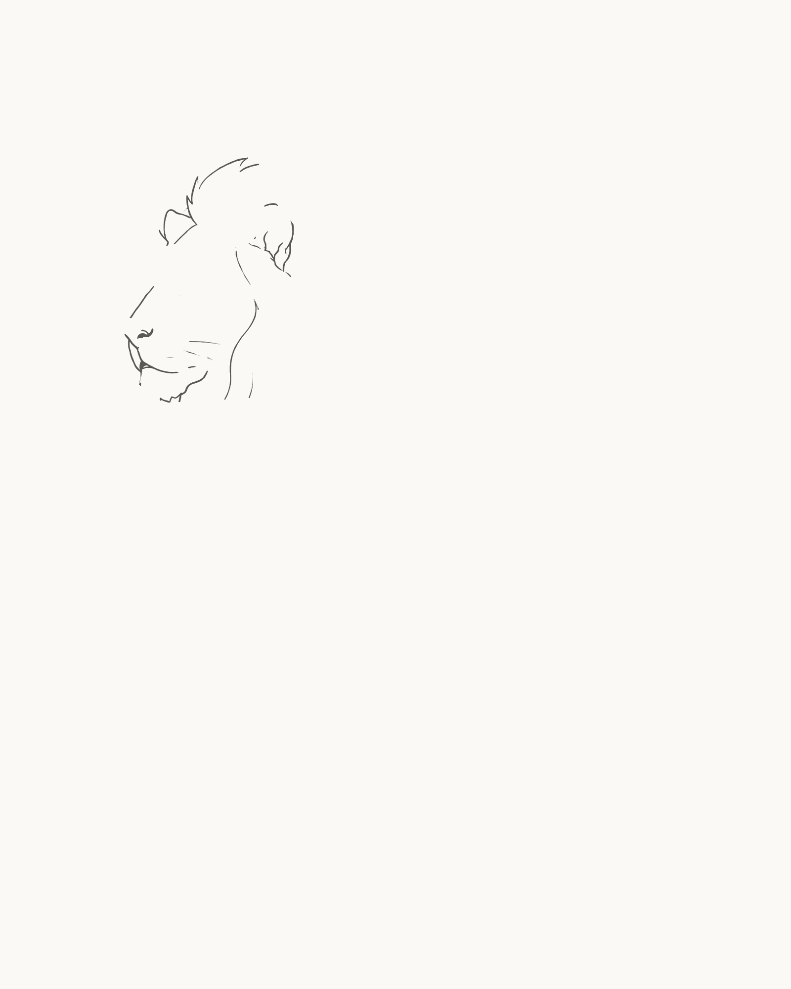Stage 1 lion drawing with unequal ears, an uneven crown, broad left-facing muzzle, mouth, chin and open endpoints for the mane