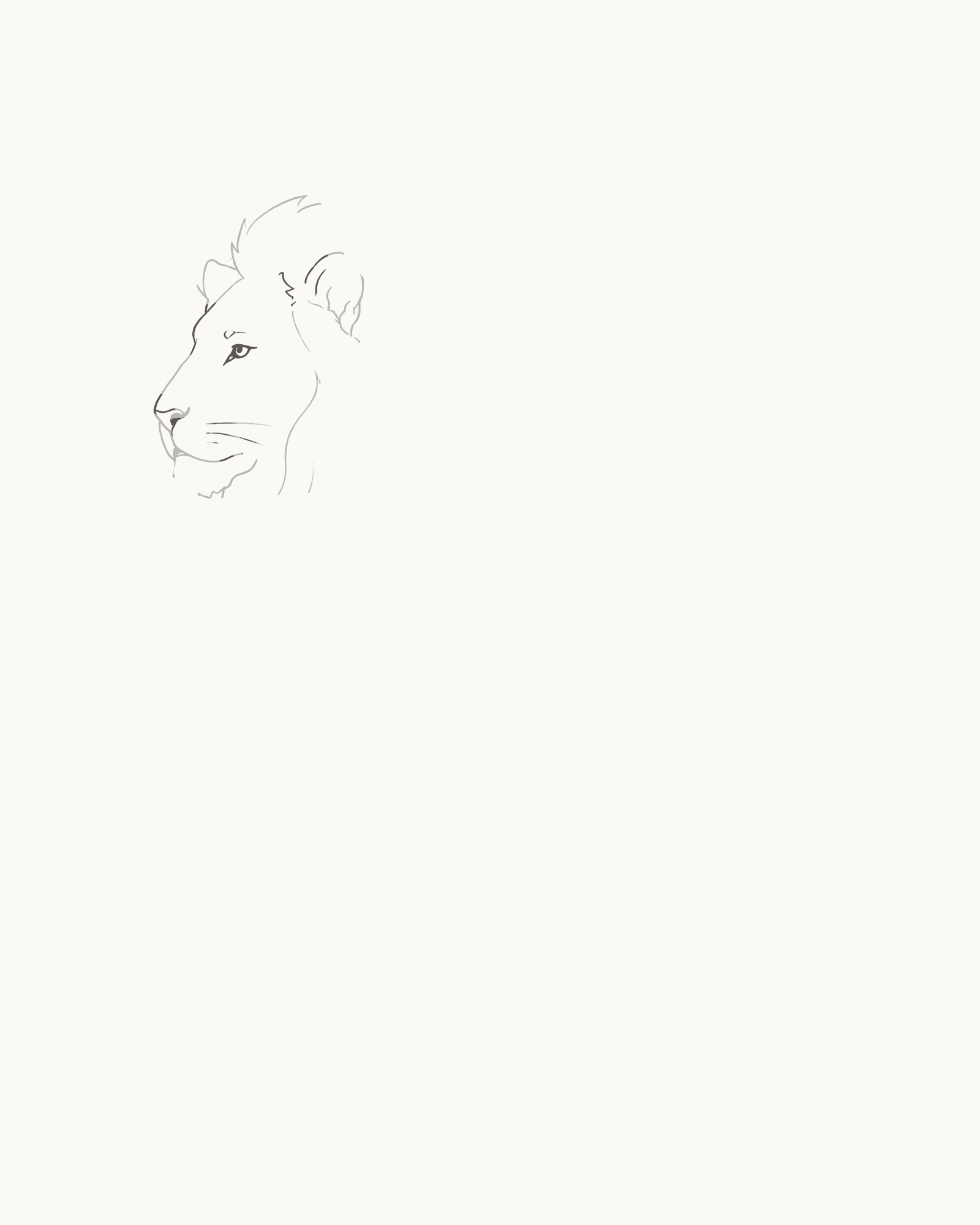 Stage 2 lion drawing adding a small open eye, brow and ear folds, nostril, mouth split, two muzzle-pad arcs and three whiskers