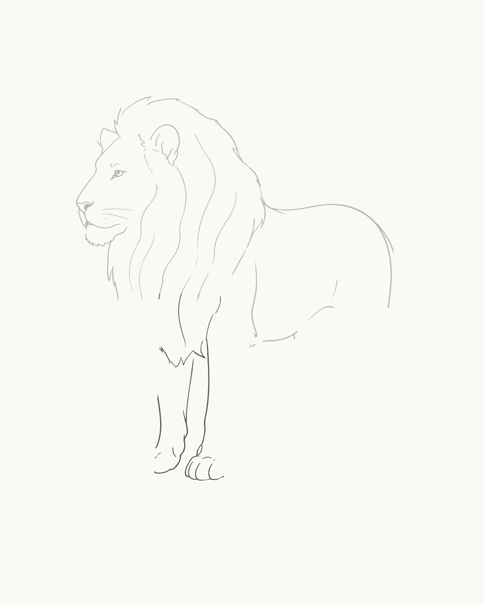 Stage 5 lion drawing adding the near foreleg from the chest opening with a wrist change, broad grounded paw and three toe divisions