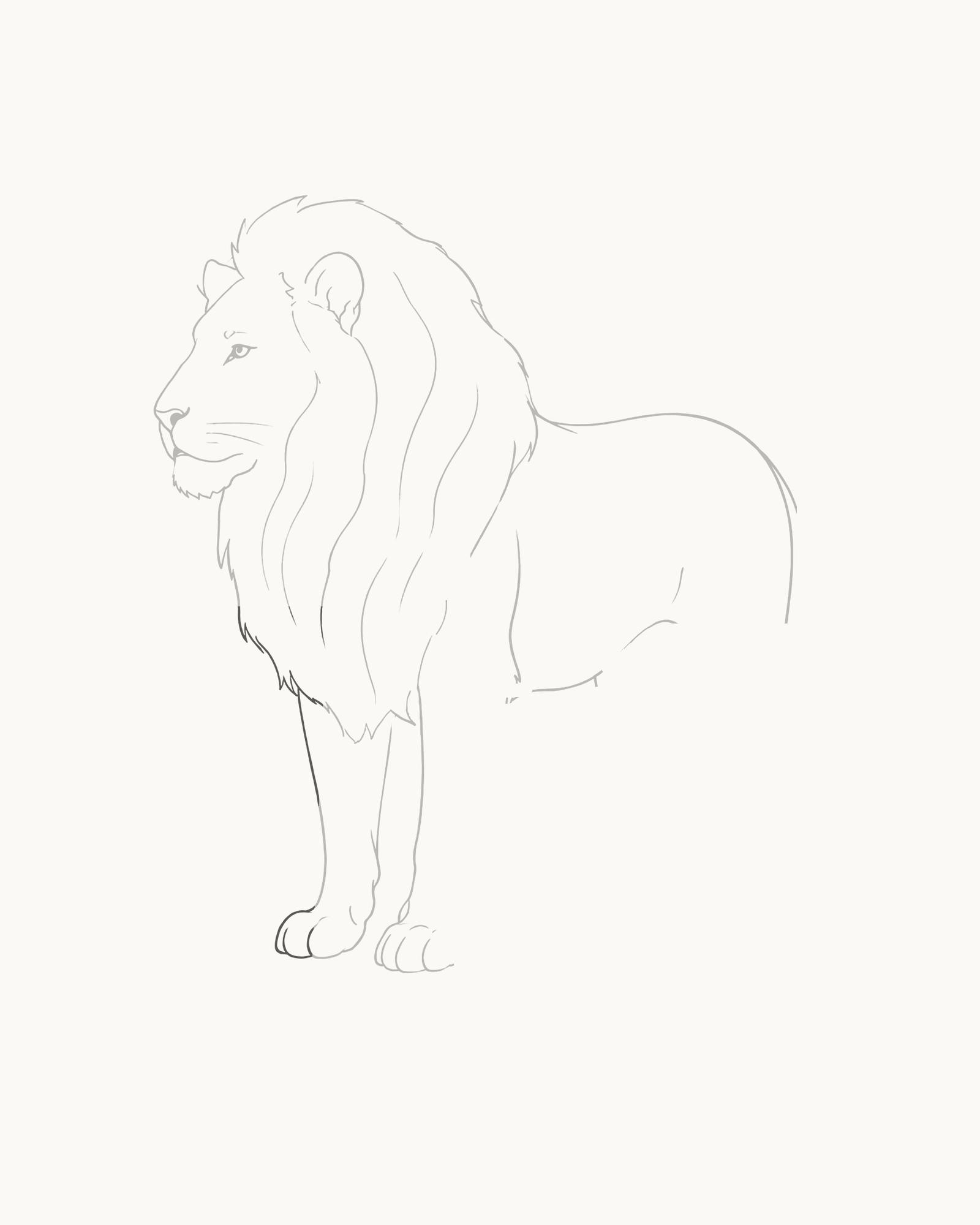 Stage 6 lion drawing adding a narrower partly hidden far foreleg, smaller paw and two visible toe divisions
