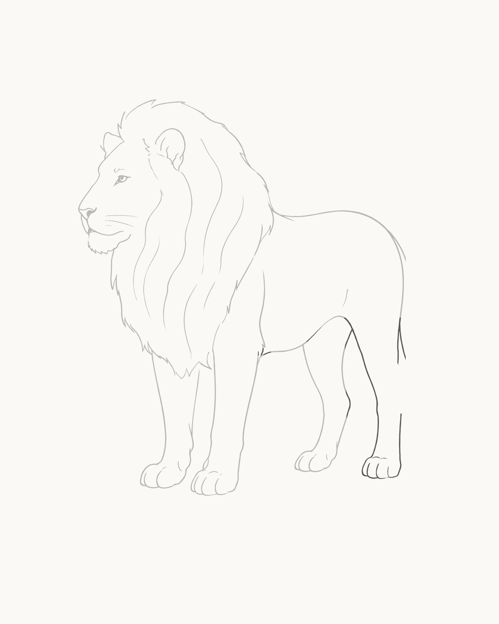 Stage 8 lion drawing adding the partly hidden far hind leg, smaller paw, two toe divisions and exactly two short belly closures