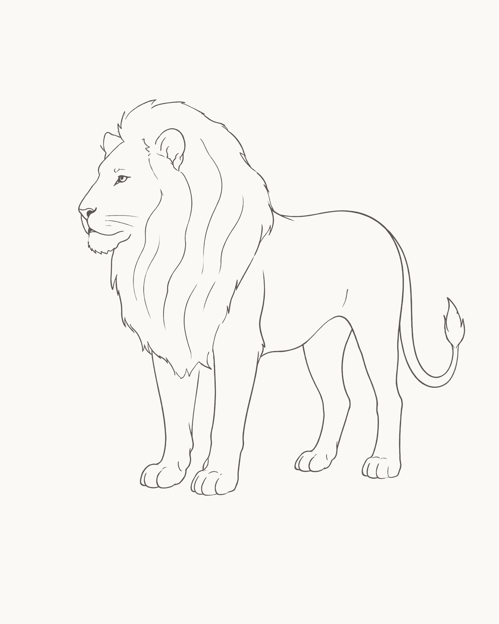 Complete line drawing of a calm adult male lion standing and facing left with an uneven attached mane, four grounded legs and a tapered tail