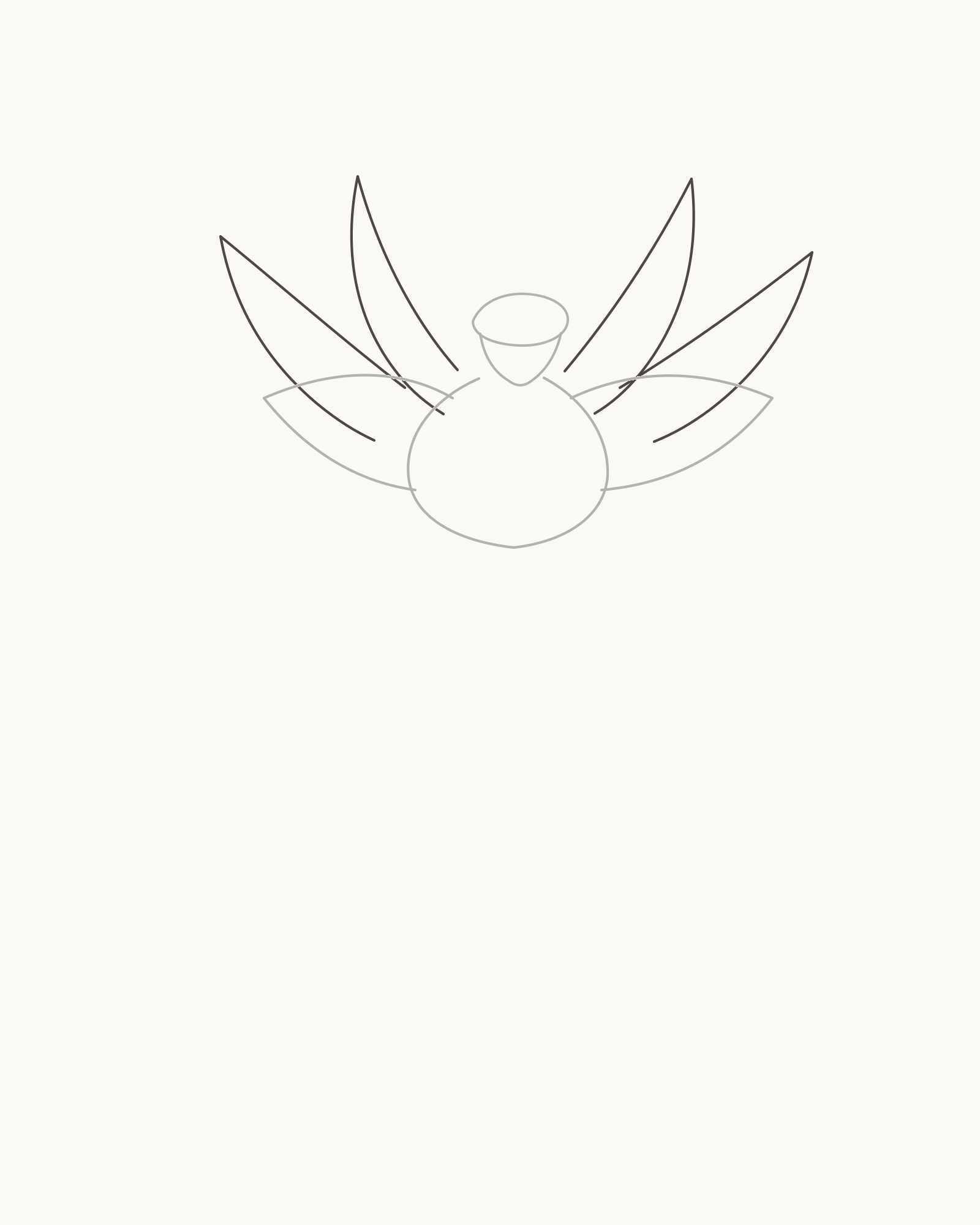 Stage 3 lotus drawing adding two unequal petals on each side with return edges stopping behind the front tier