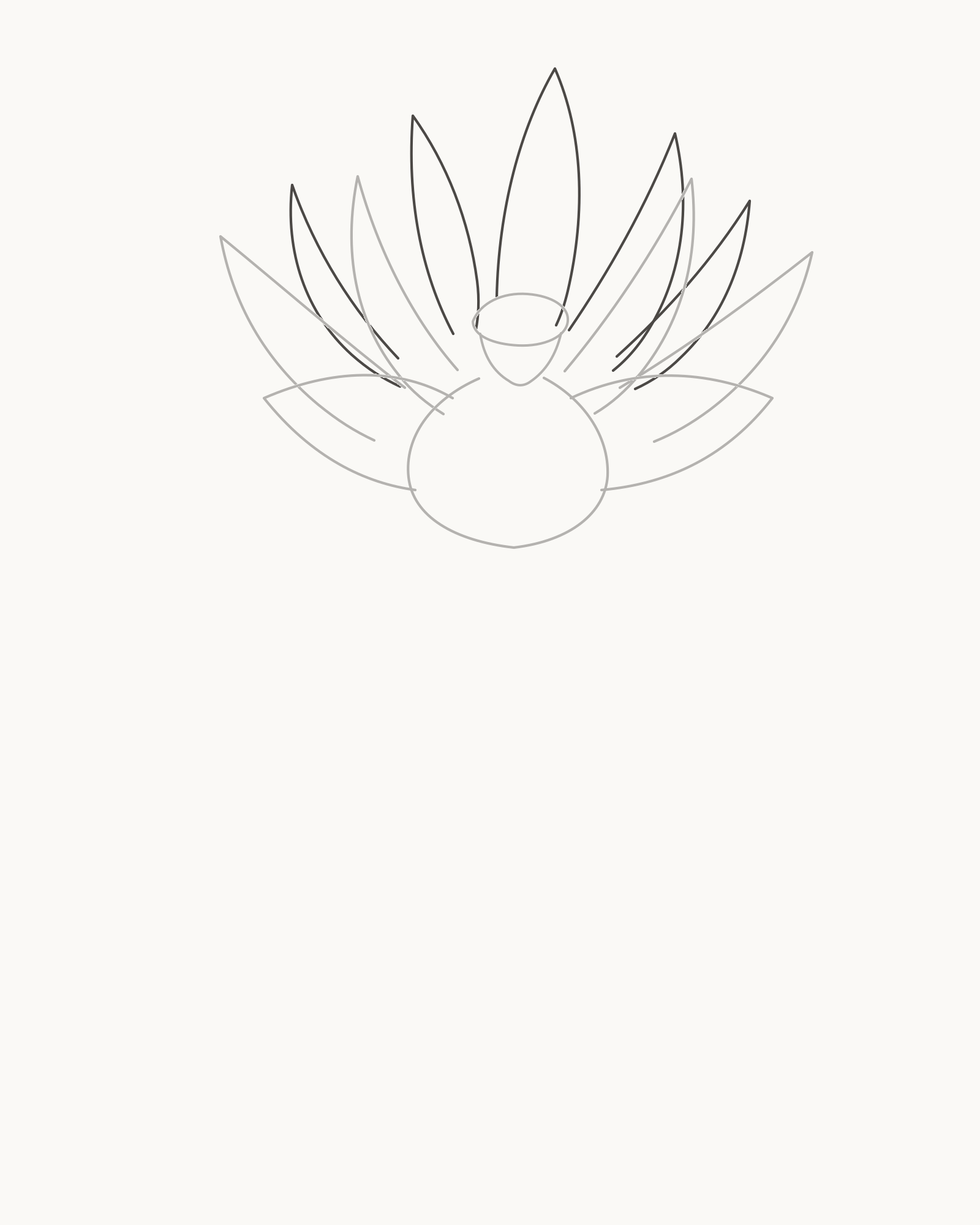 Stage 4 lotus drawing adding five taller unequal rear petals to complete a twelve-petal cupped bloom