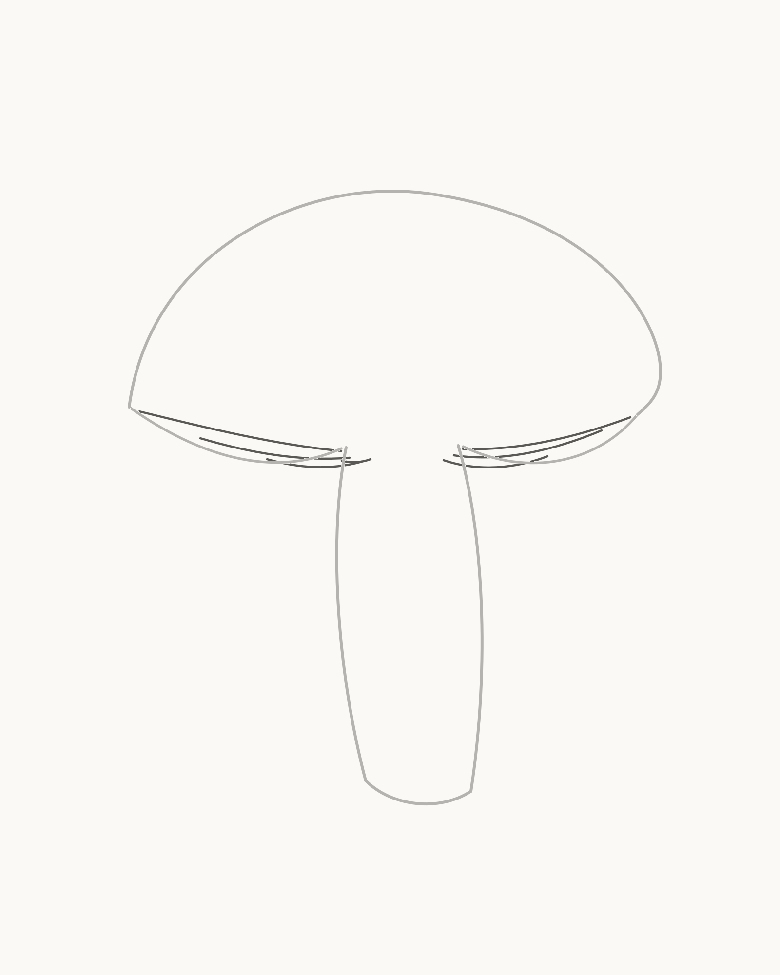 Stage 4 mushroom drawing adding seven unequal long gill lines beneath the cap