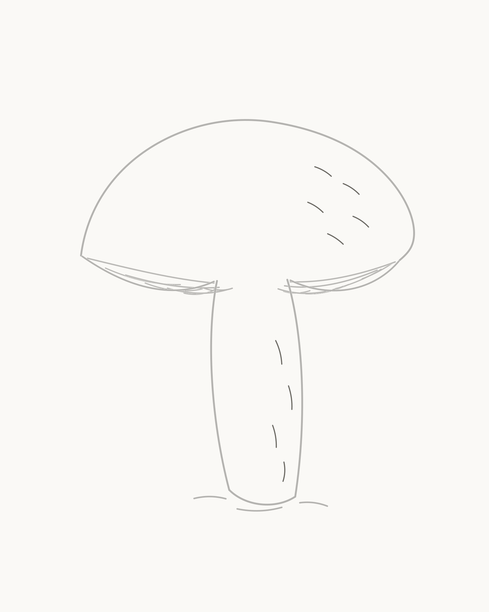 Stage 7 complete mushroom line drawing with five cap hatches and four stalk hatches on lower-right surfaces
