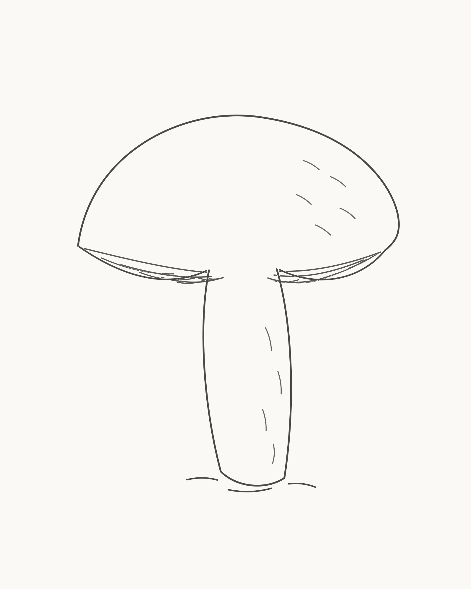 Complete pencil-line mushroom with a broad asymmetric cap, visible gills, curved attached stalk and sparse directional hatching