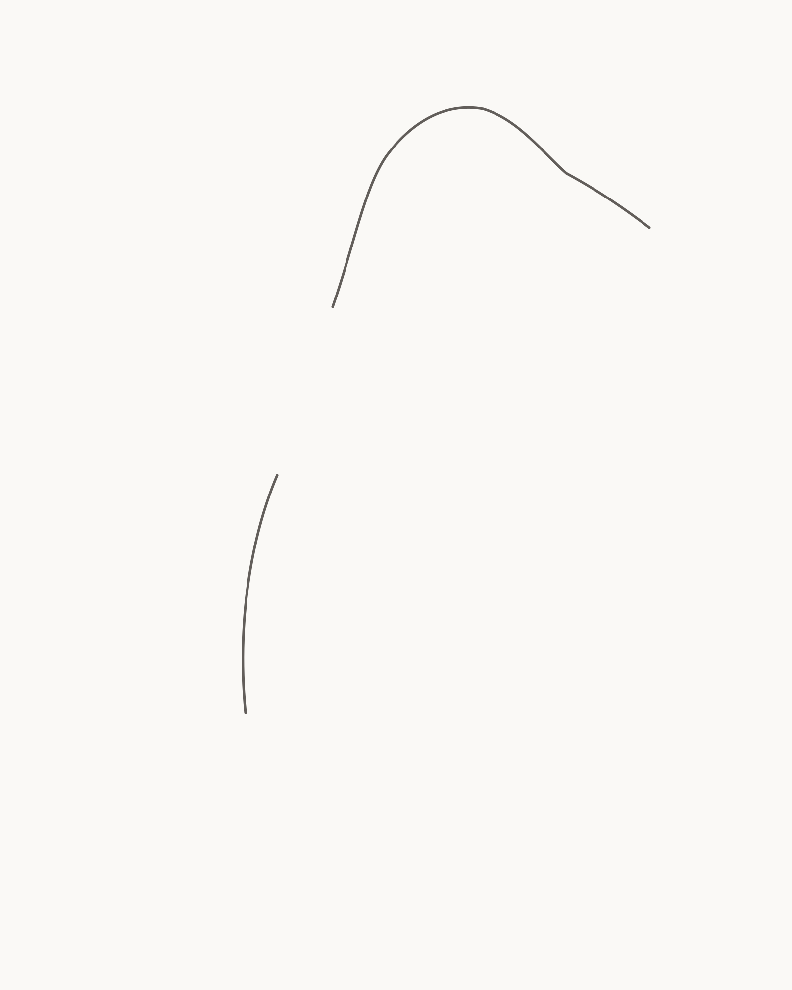 Stage 1 penguin drawing showing two permanent right-facing upper contour intervals from the beak over the crown to the far-flipper upper root and from its lower root down the back to the upper tail root