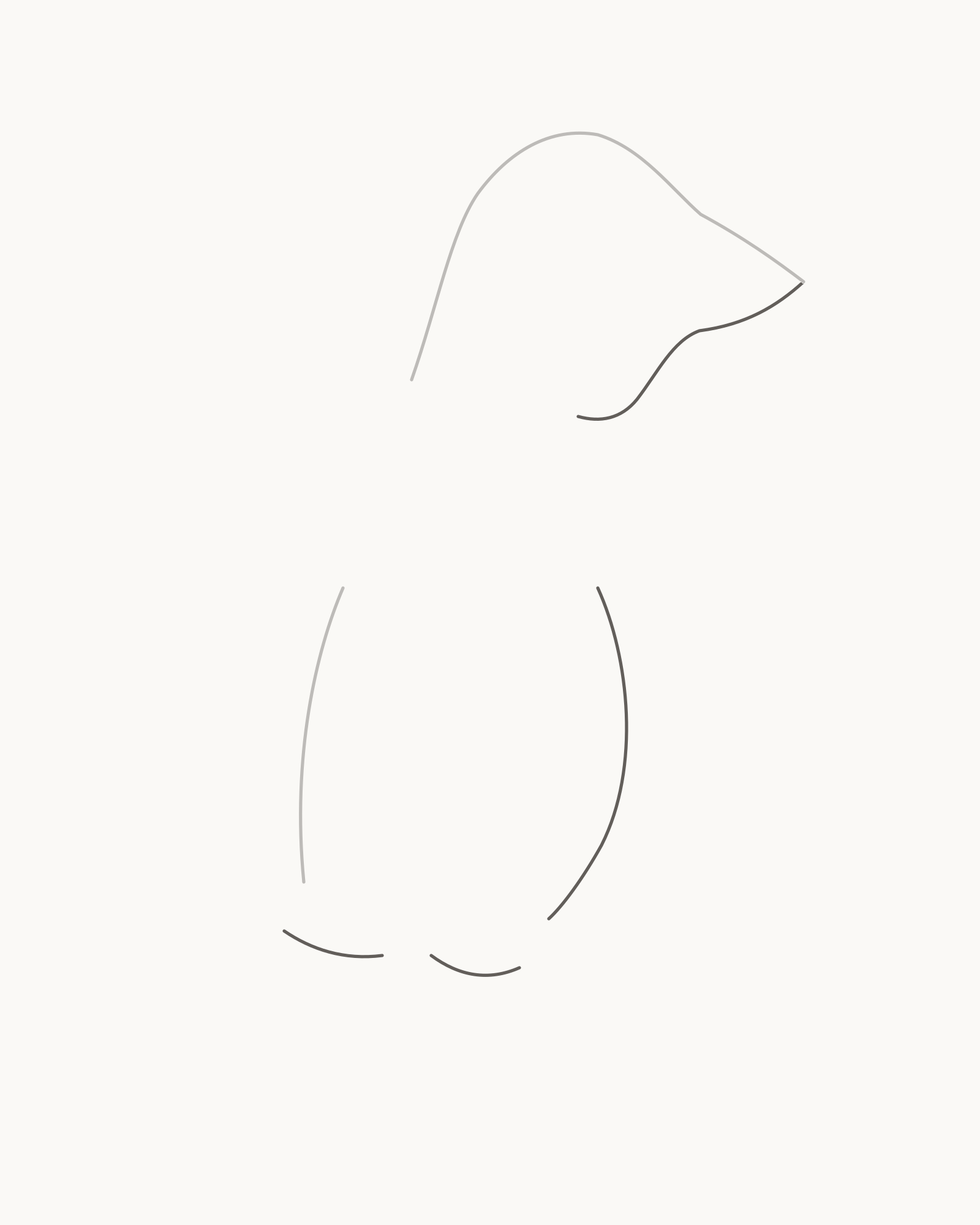 Stage 2 penguin drawing adding four permanent lower contour intervals through the lower beak, throat, chest, belly and underside while preserving near-flipper, two leg and tail openings