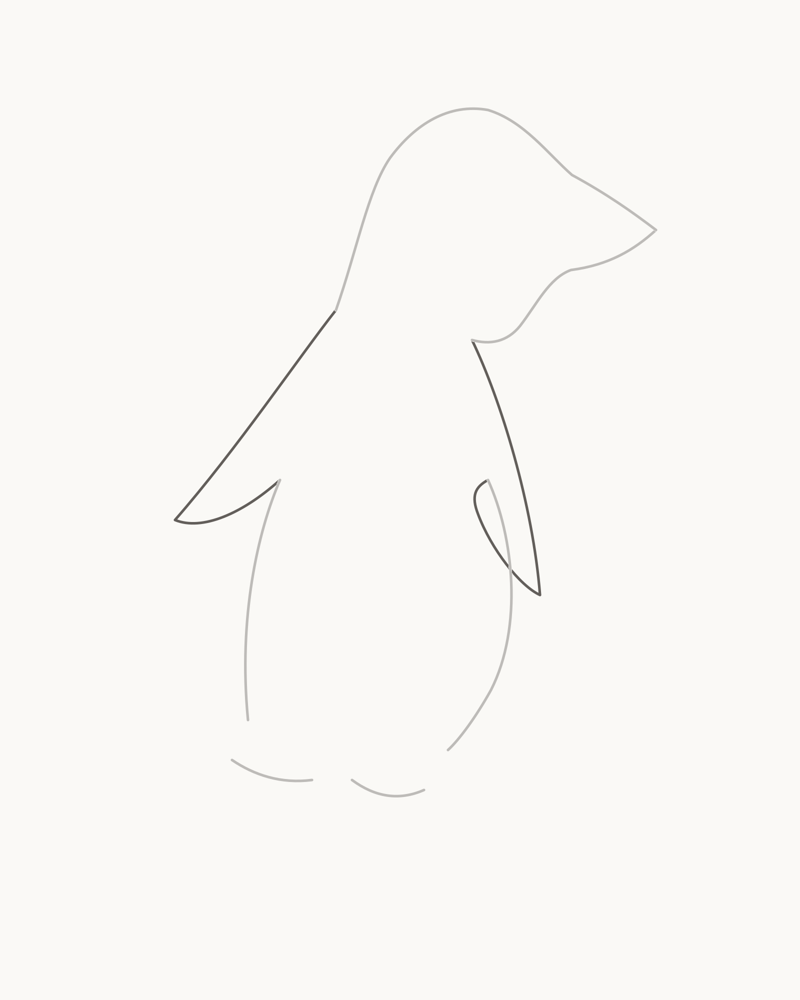Stage 3 penguin drawing adding a slim near flipper attached at two visible-side roots and a more strongly projecting far flipper attached behind the back