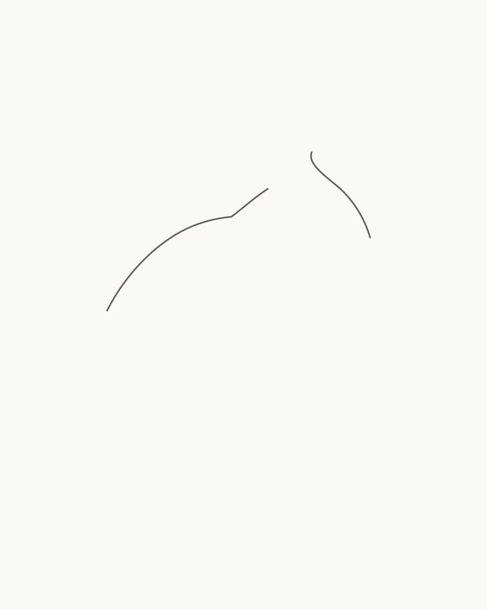 Stage 1 rabbit drawing showing two permanent right-facing upper silhouette intervals from nose to near-ear root and from nape across the back and rump to the upper tail root