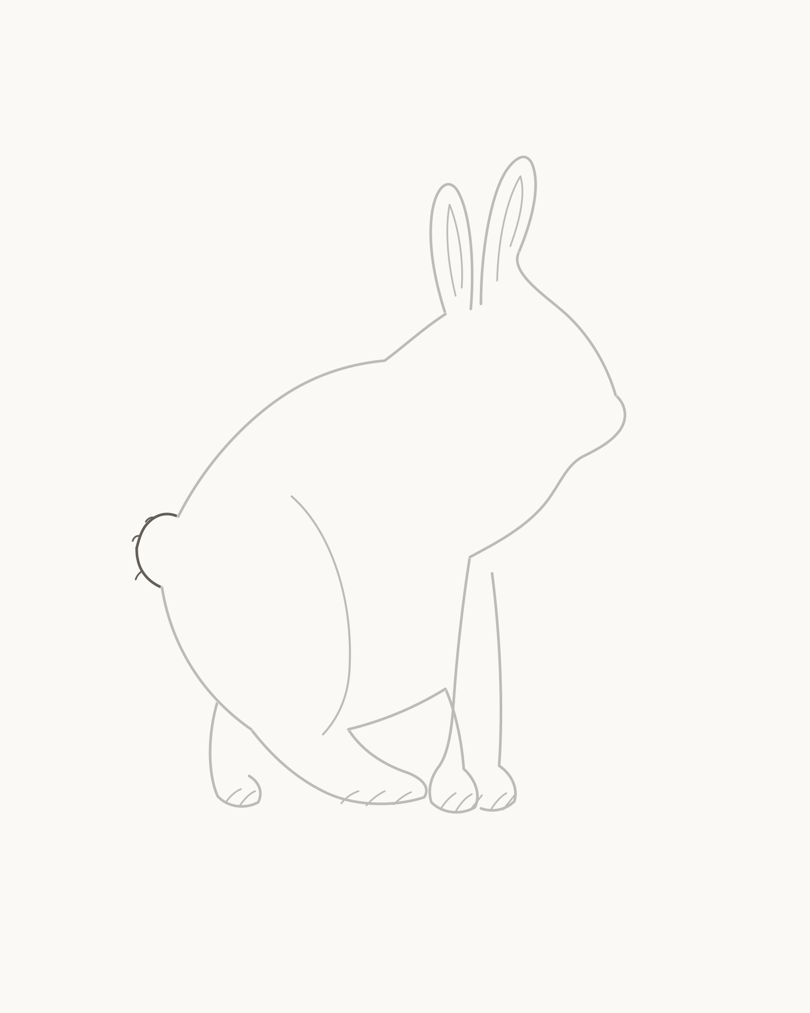 Stage 6 rabbit drawing adding a compact asymmetrical tail between the fixed rump endpoints with exactly three restrained edge notches